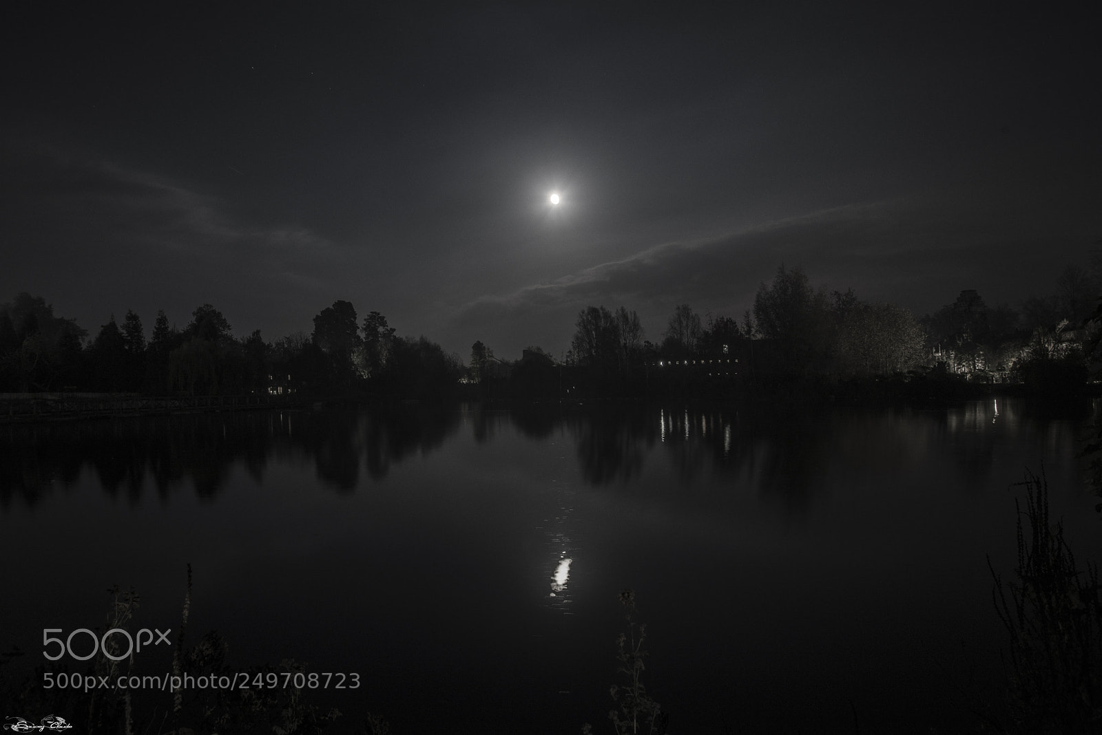 Nikon D600 sample photo. Somewhere in the night photography