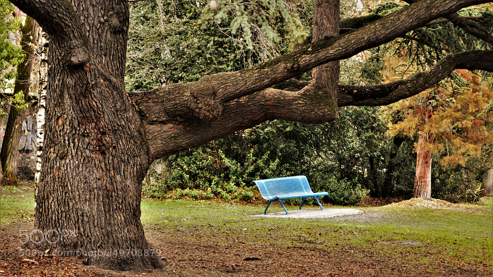 Nikon D3200 sample photo. Untitled photography