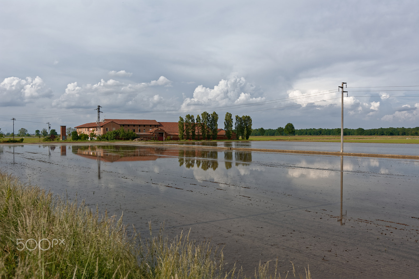 Nikon AF-S Nikkor 14-24mm F2.8G ED sample photo. Rice field photography