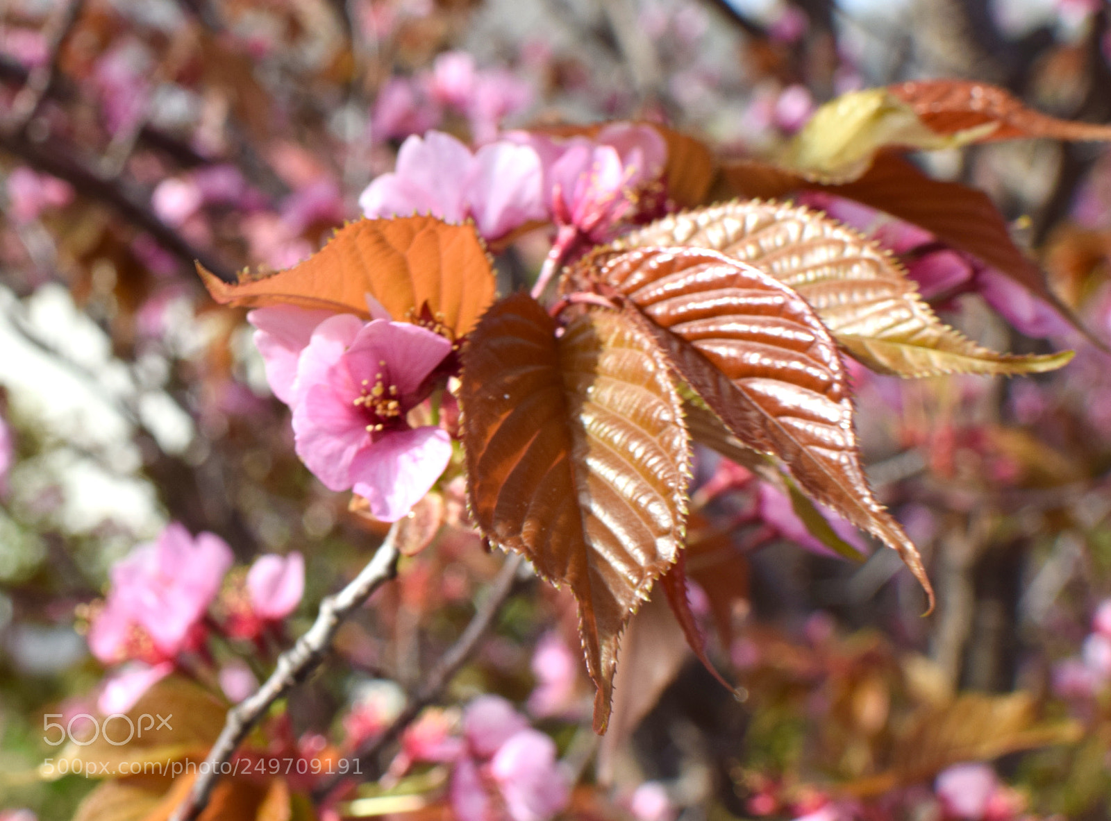 Nikon D5300 sample photo. Untitled photography