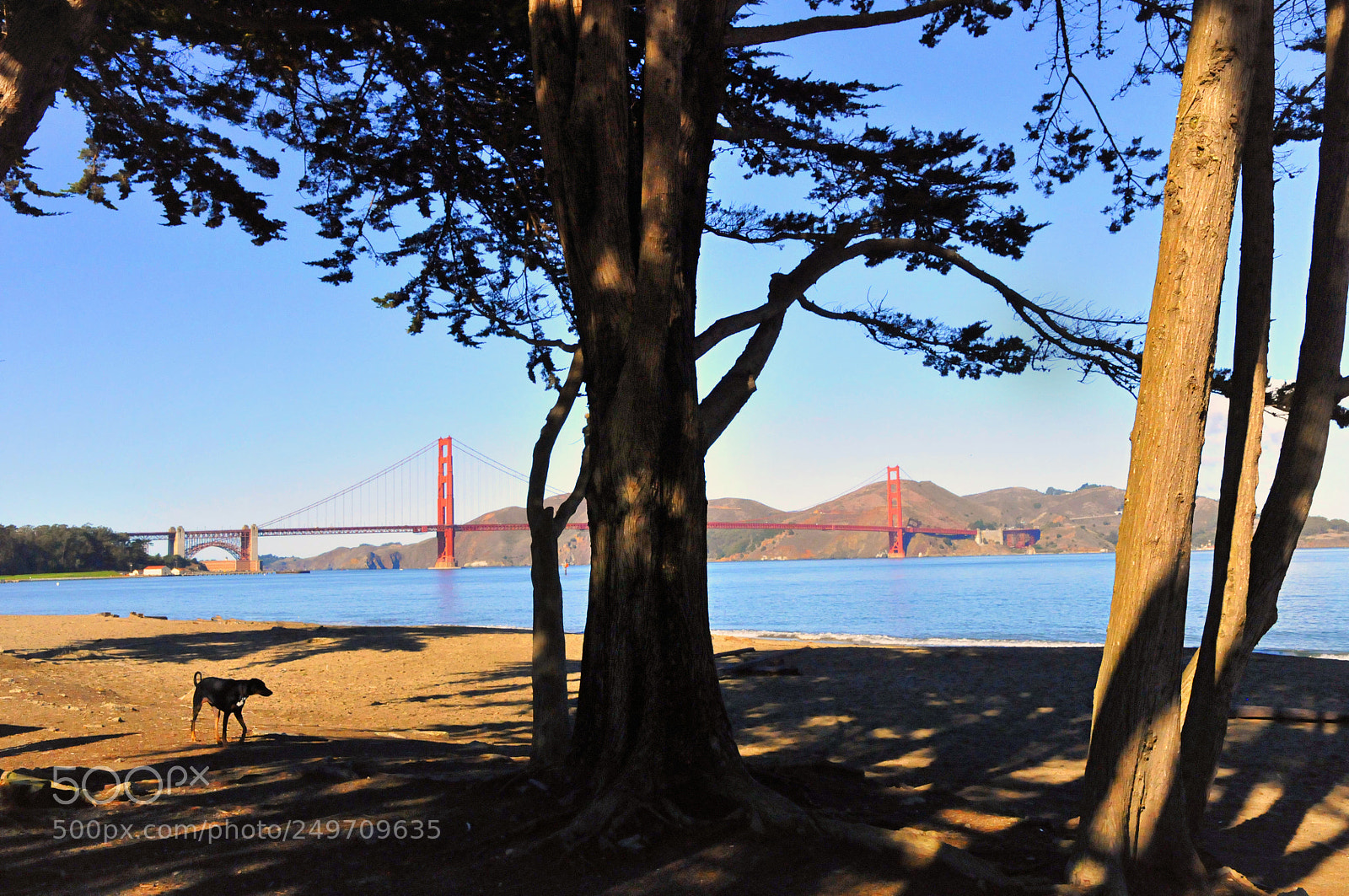 Nikon D300 sample photo. Morning with a view photography