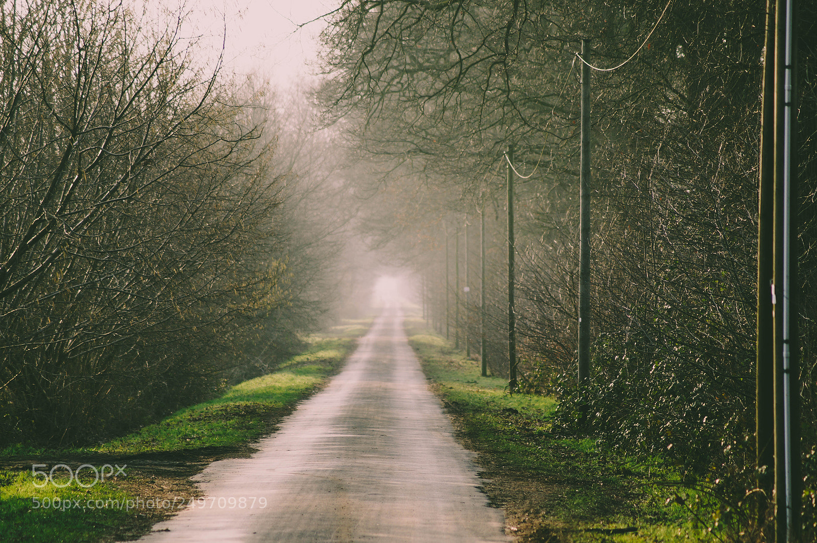 Sony SLT-A58 sample photo. Foggy road photography