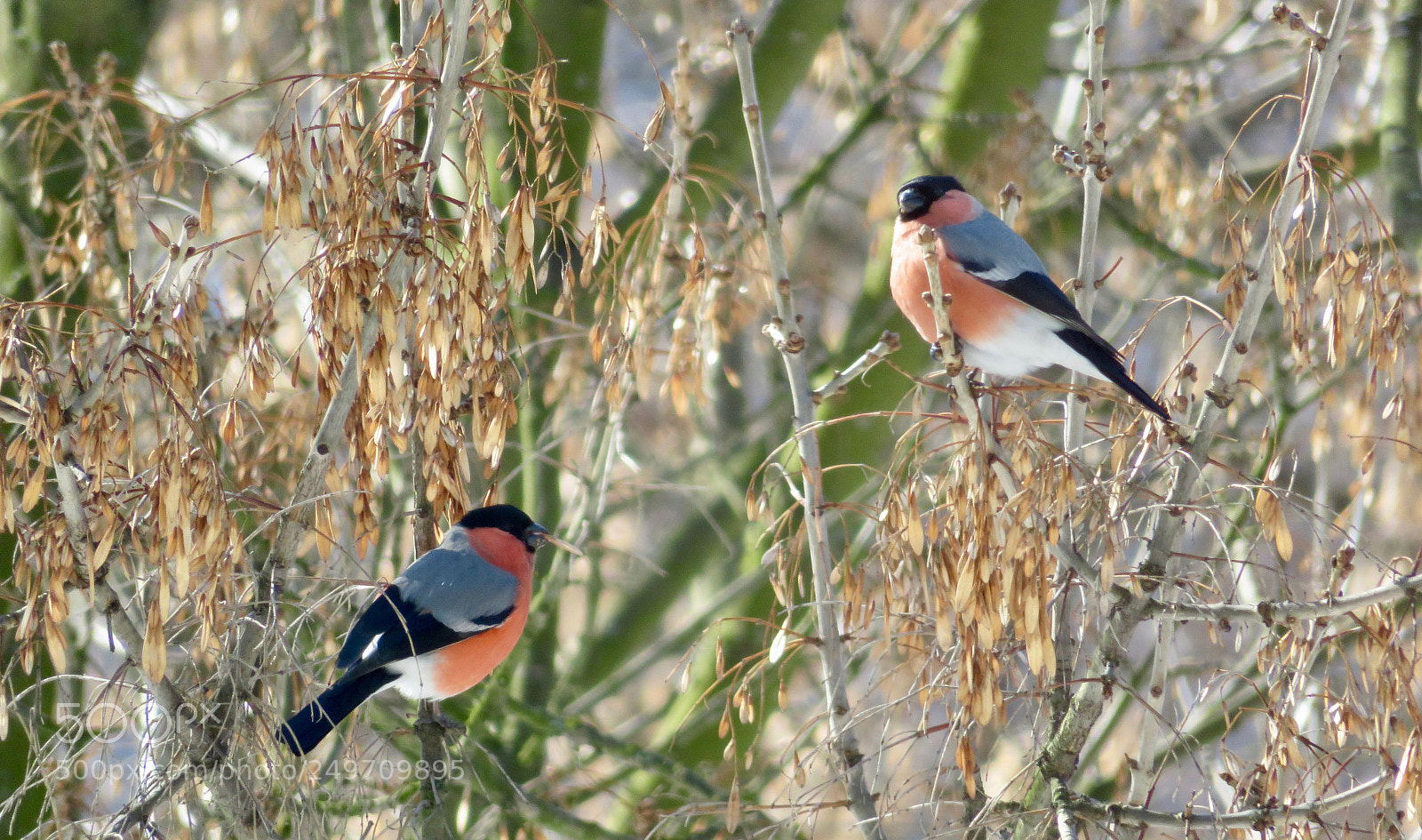 Canon PowerShot SX720 HS sample photo. Modern couple... photography