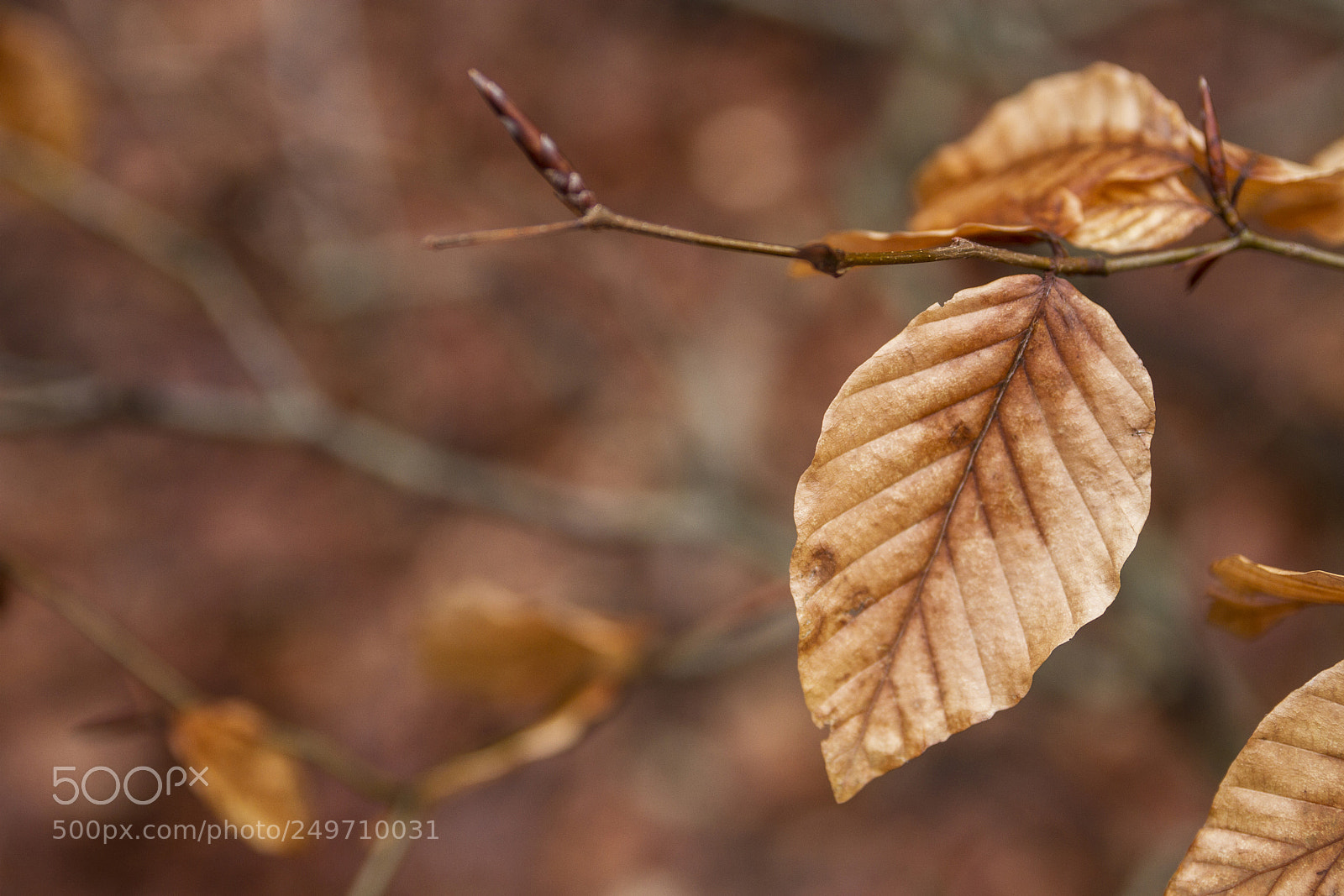 Canon EOS 7D sample photo. Standing photography
