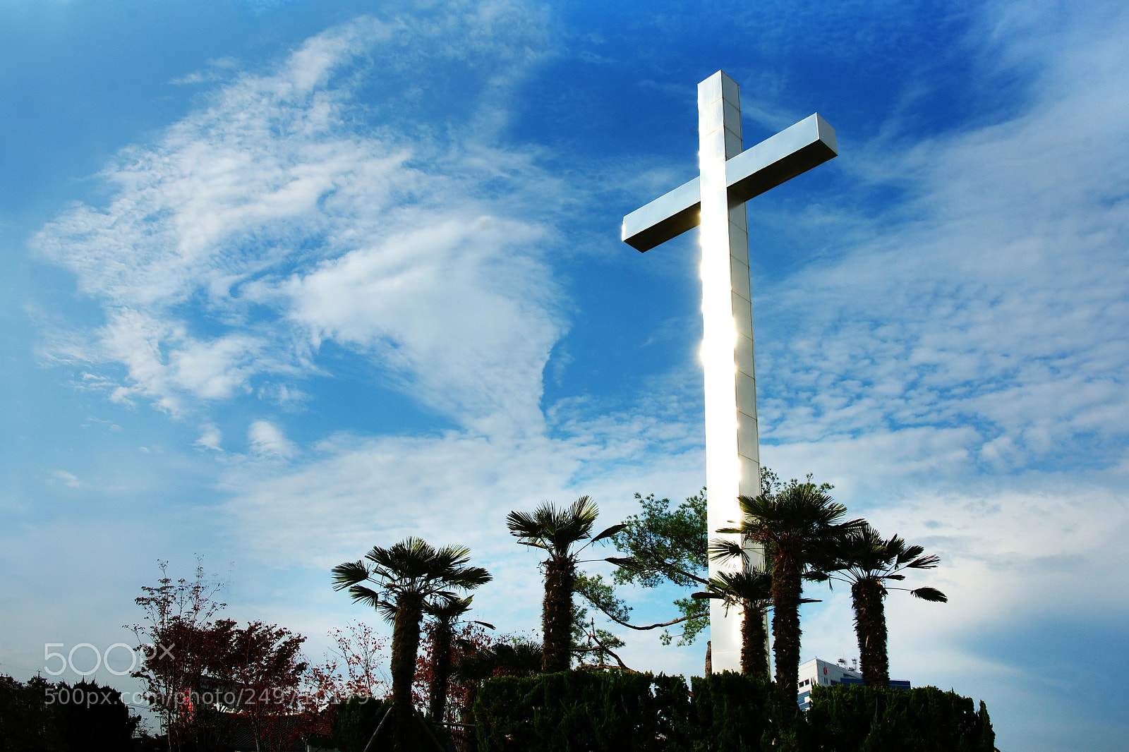 Sony Alpha DSLR-A900 sample photo. Untitled photography