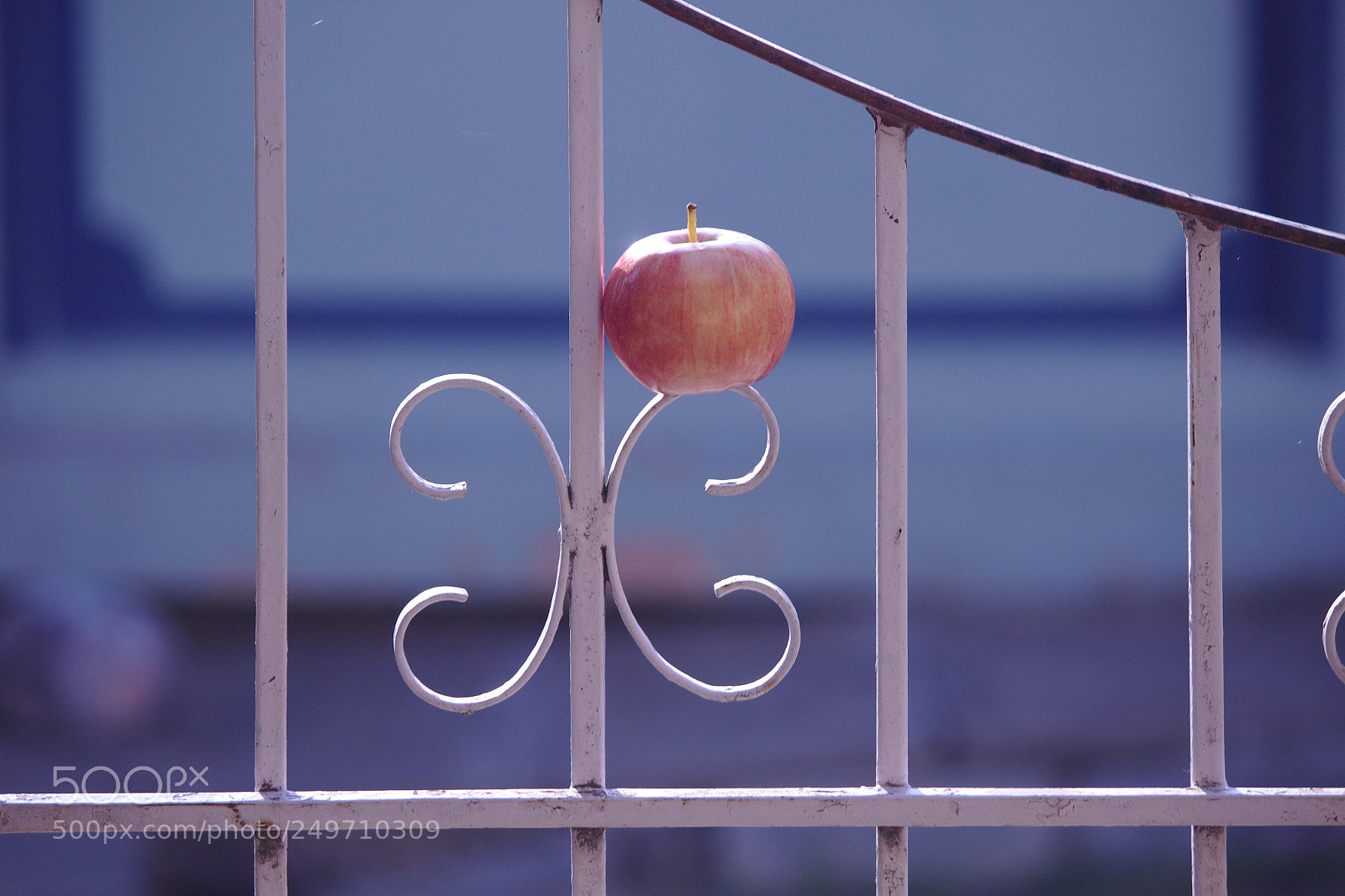 Canon EF-S 55-250mm F4-5.6 IS II sample photo. Apple mounted on a photography