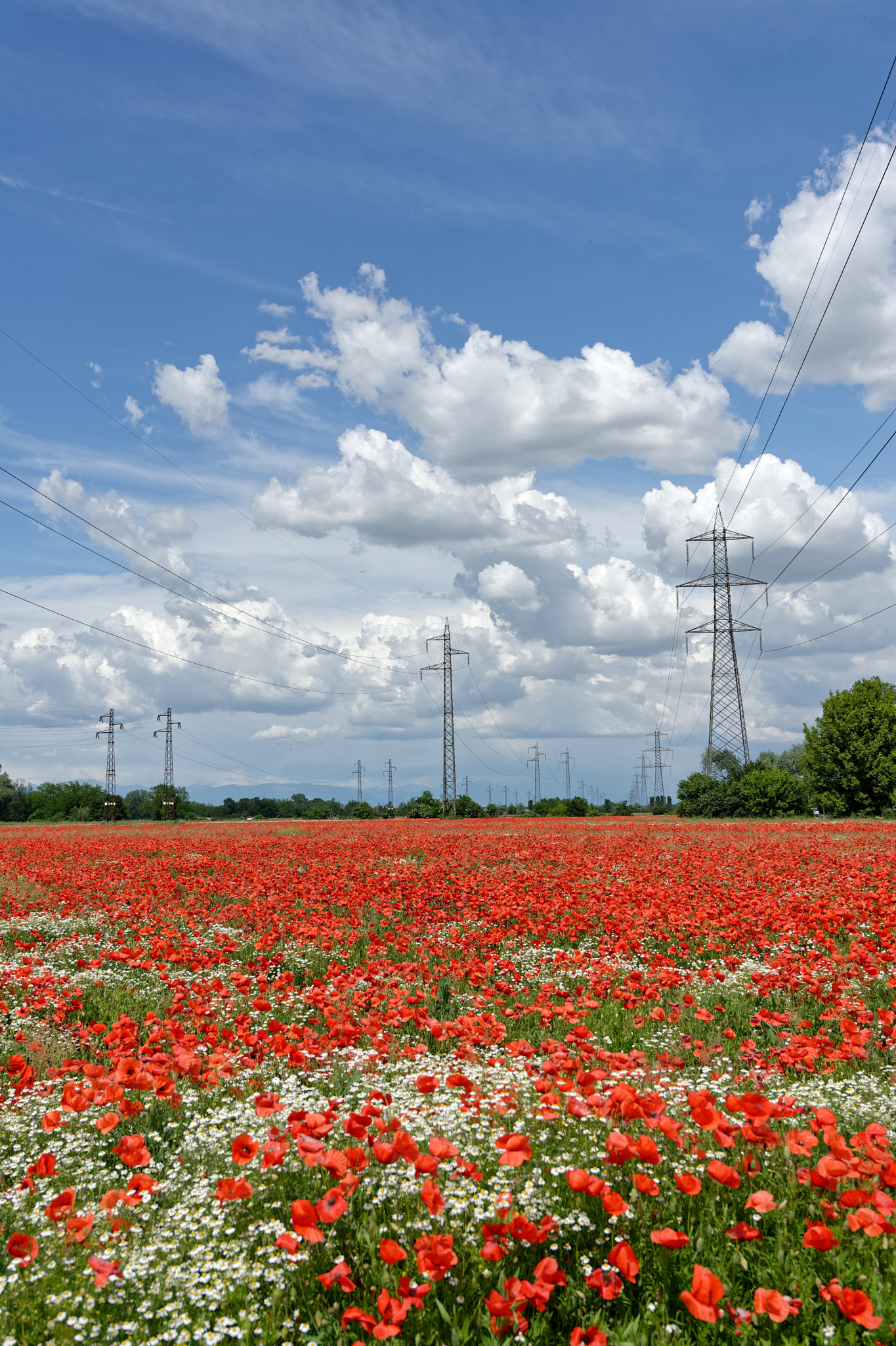 Nikon D7100 + Nikon AF-S Nikkor 14-24mm F2.8G ED sample photo. Red highway between the fields photography