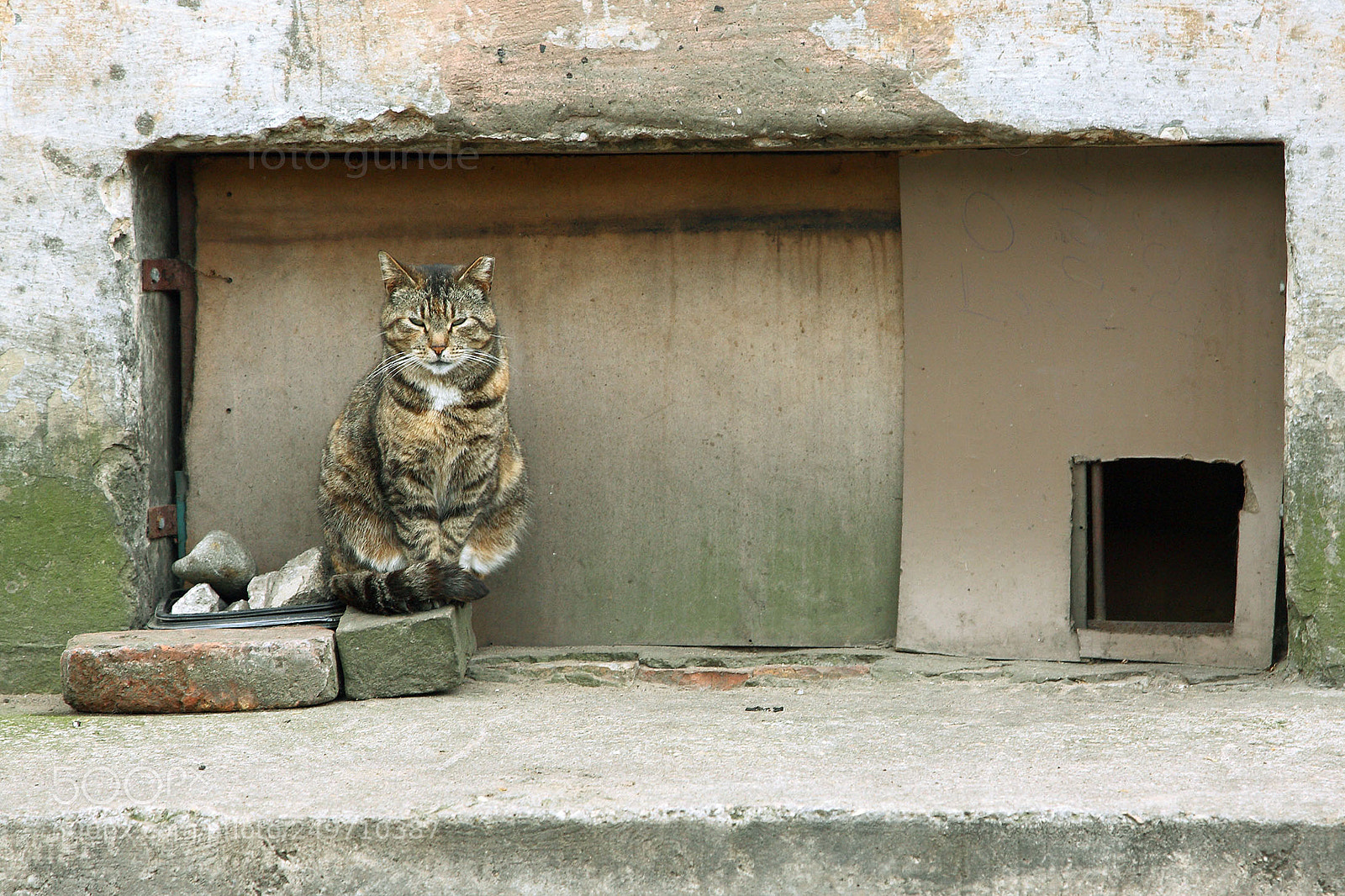 Canon EOS 5D sample photo. Sad girl photography