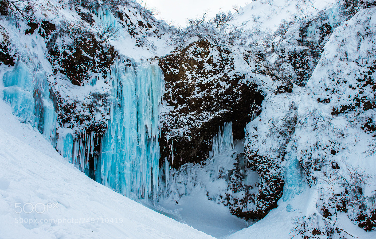 Nikon D4S sample photo. Blue ice garden photography