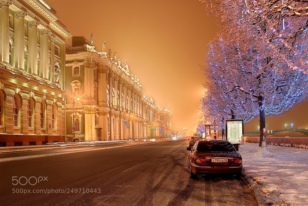 Nikon D80 sample photo. Winter about winter palace photography
