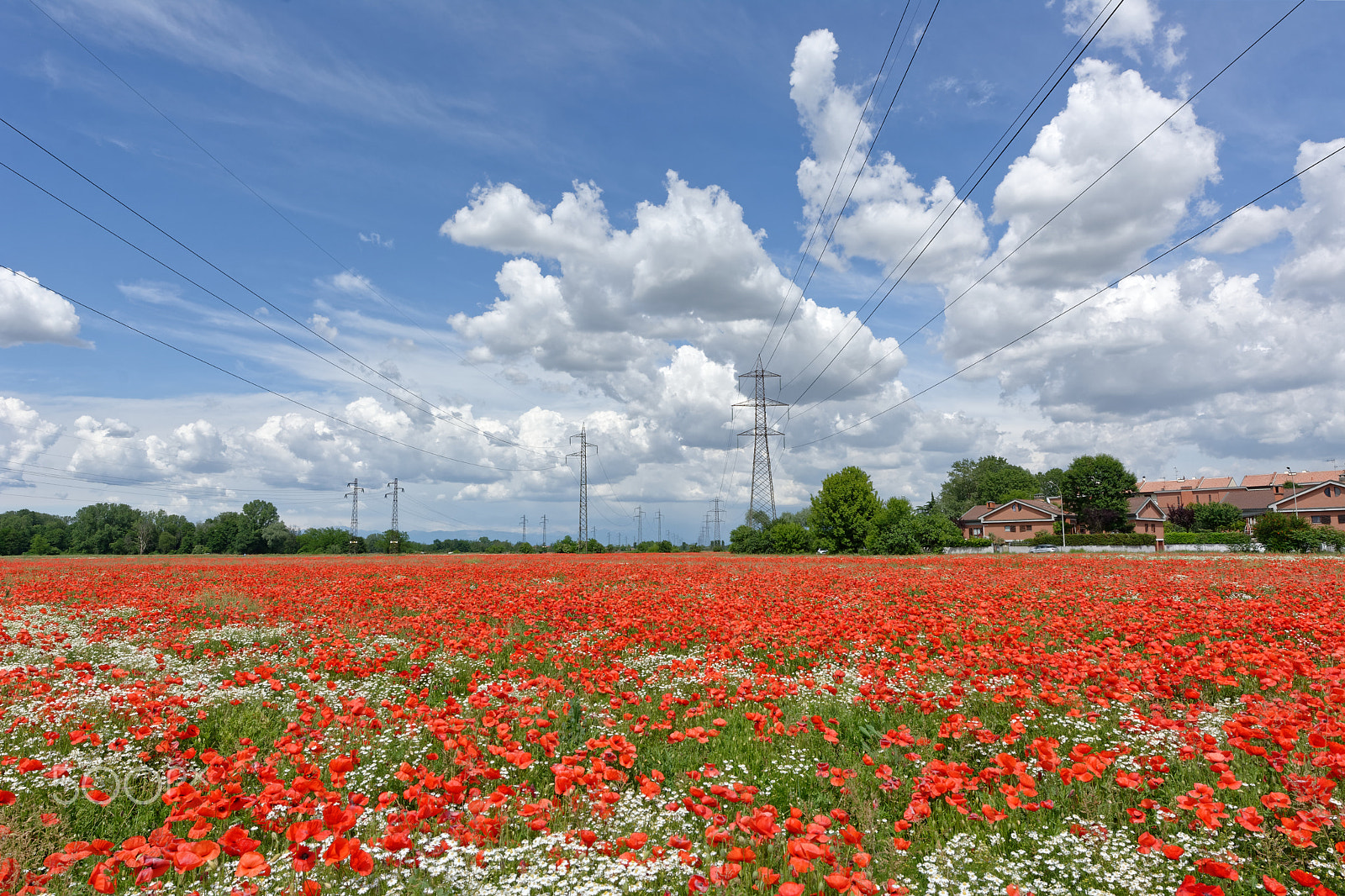 Nikon D7100 + Nikon AF-S Nikkor 14-24mm F2.8G ED sample photo. Red carpet photography