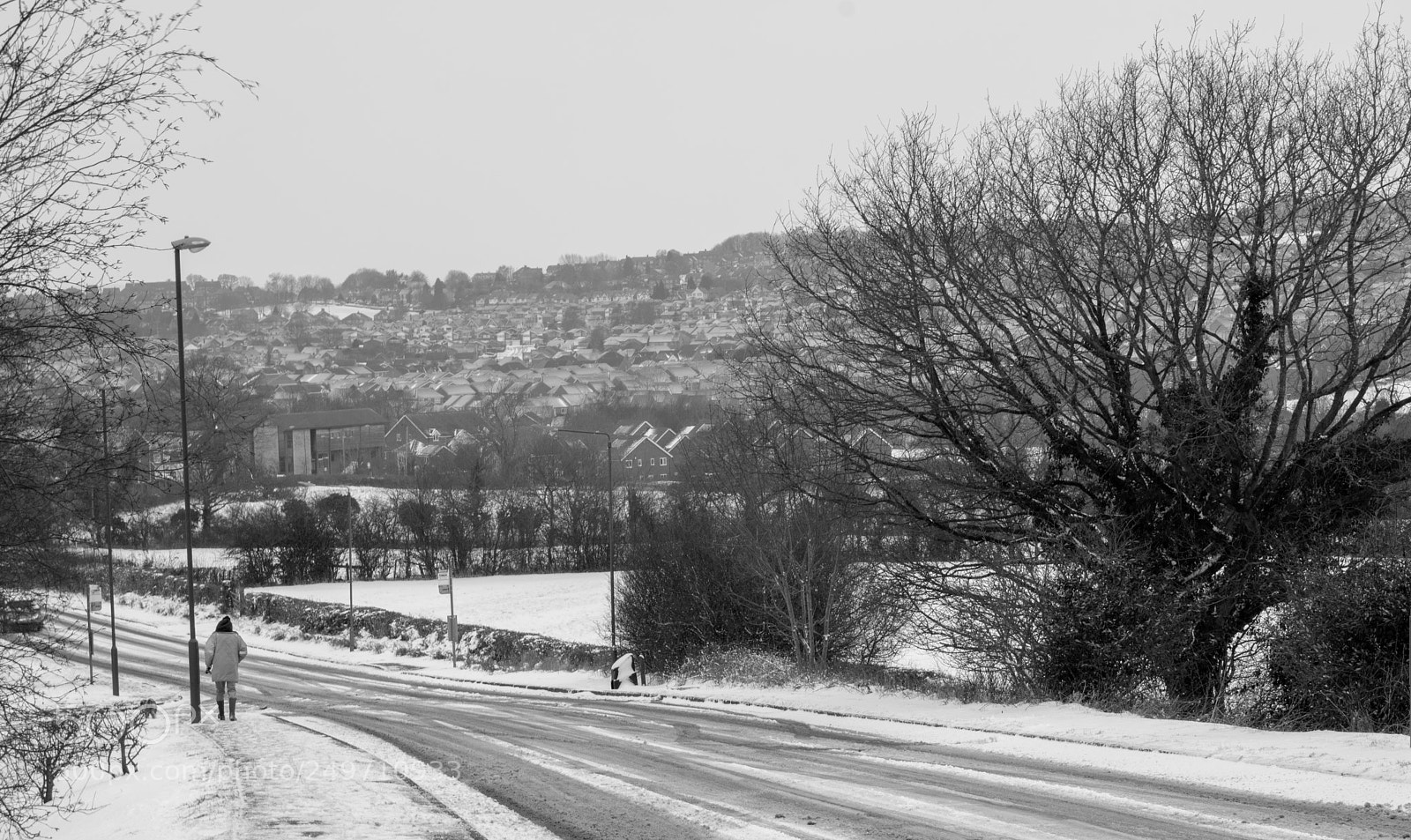 Nikon D3400 sample photo. Cold snowy sunday photography