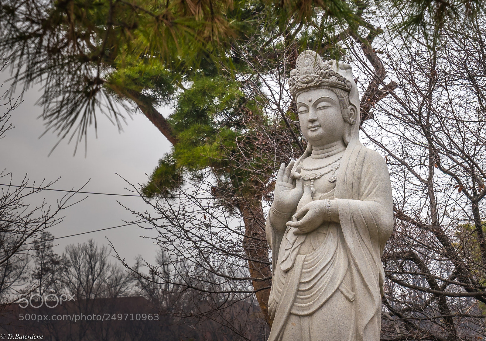 Sony a9 sample photo. Buddha
 photography