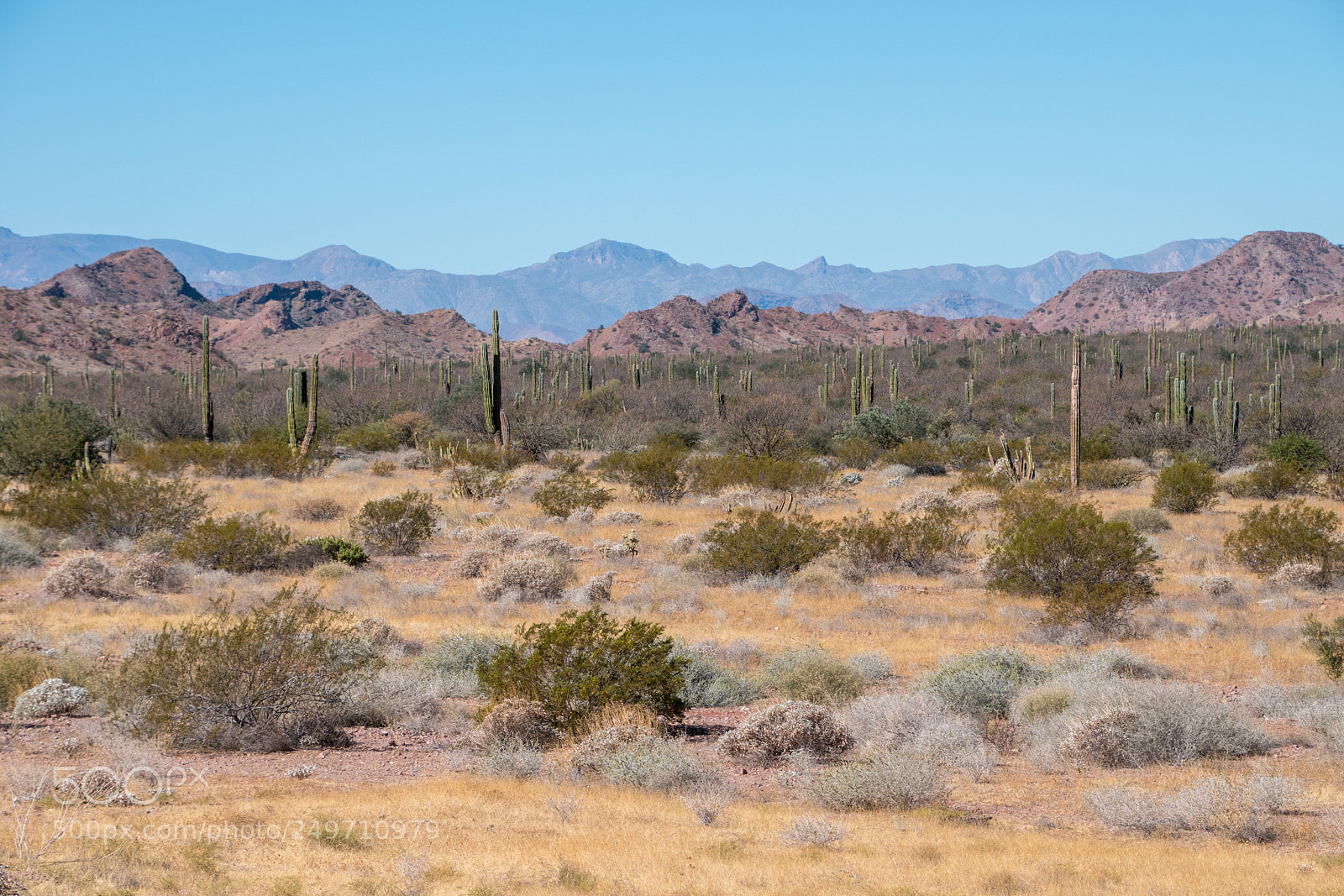 Nikon D5500 sample photo. Baja california 2 photography