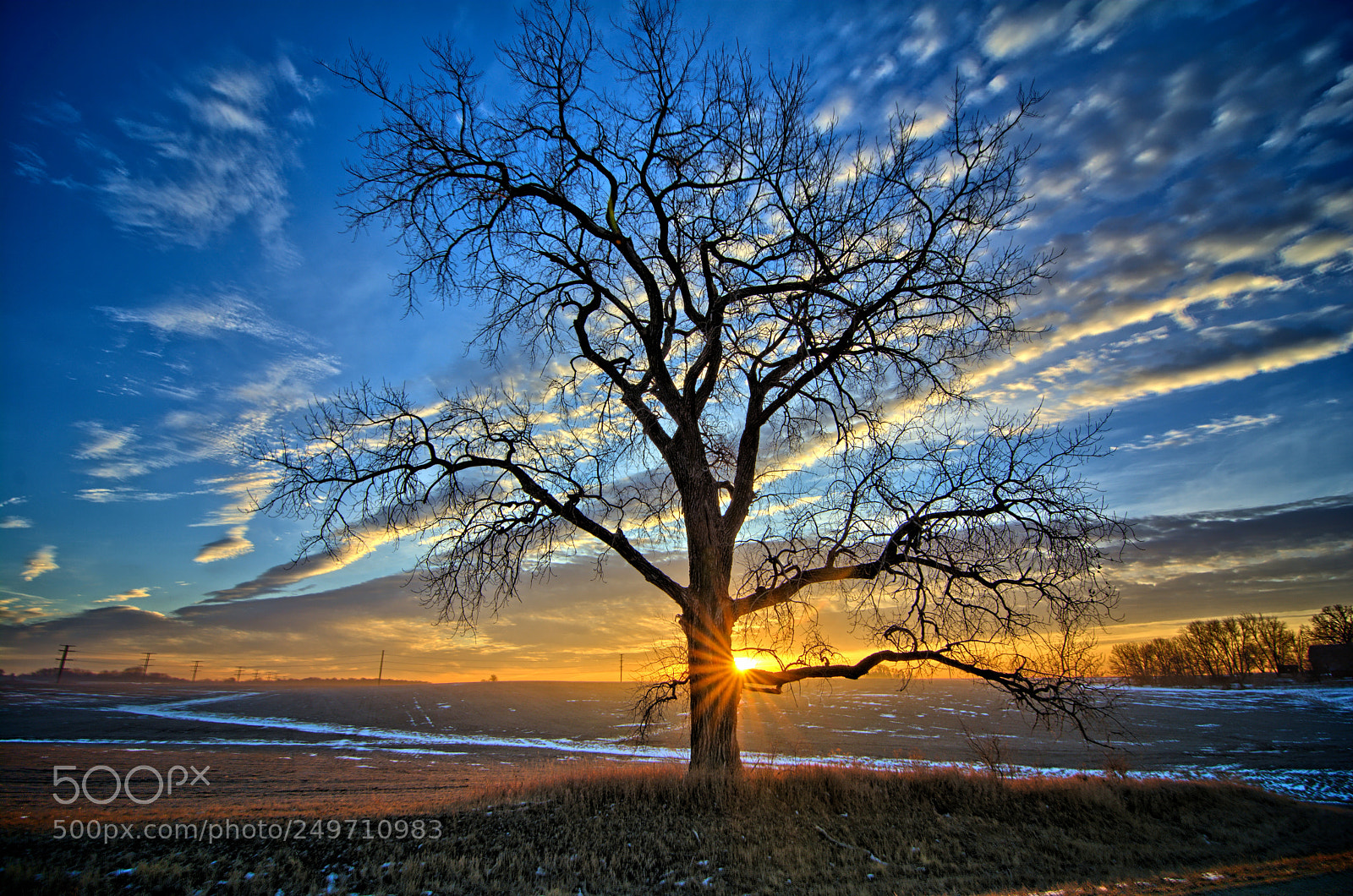 Nikon D7100 sample photo. Sunburst cottonwood photography