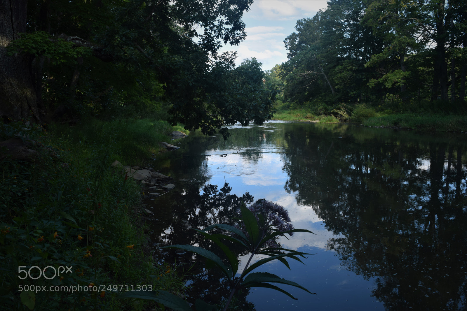 Nikon D3300 sample photo. Calm water photography