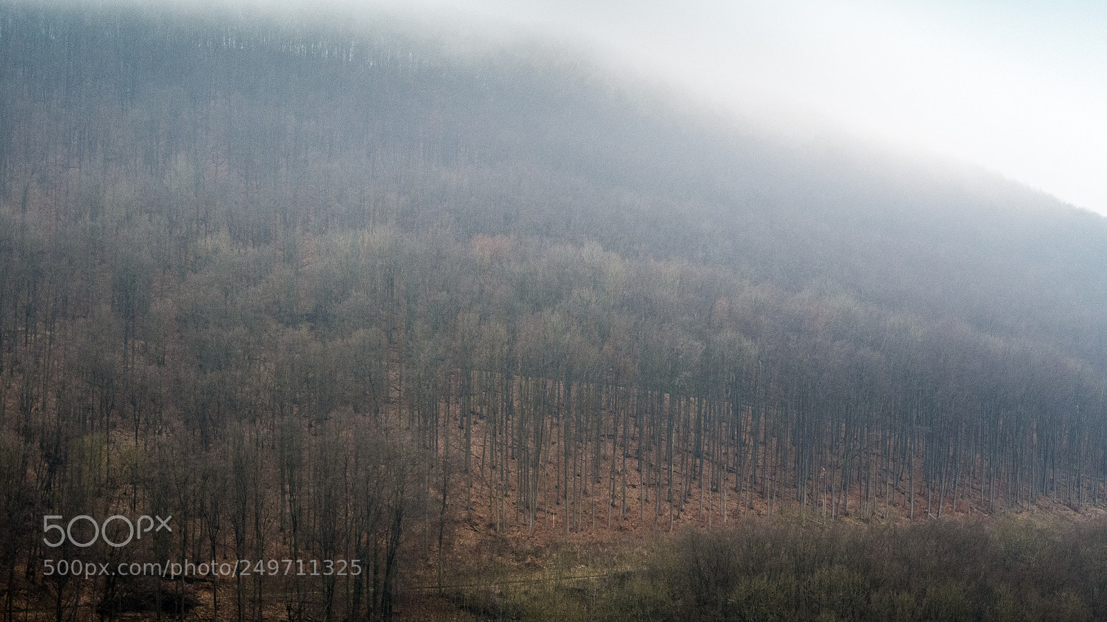 Panasonic DMC-G70 sample photo. Misty hill photography