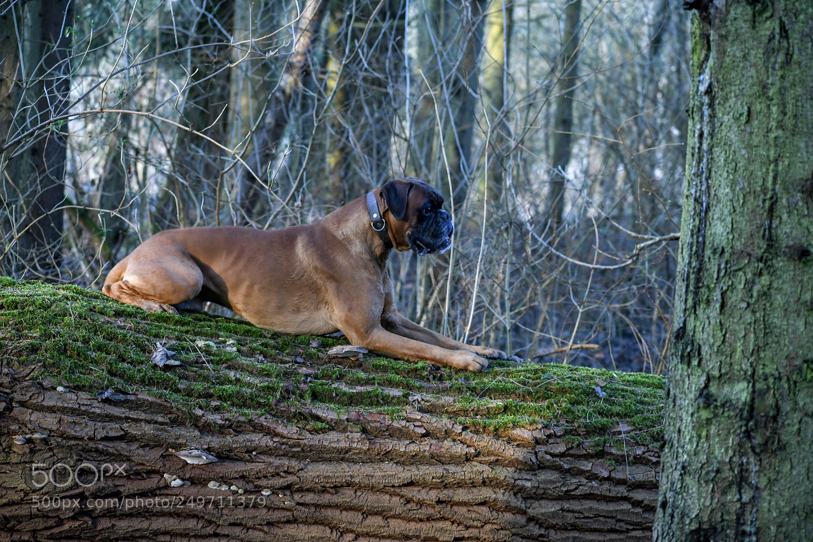Nikon D7500 sample photo. Nice place photography