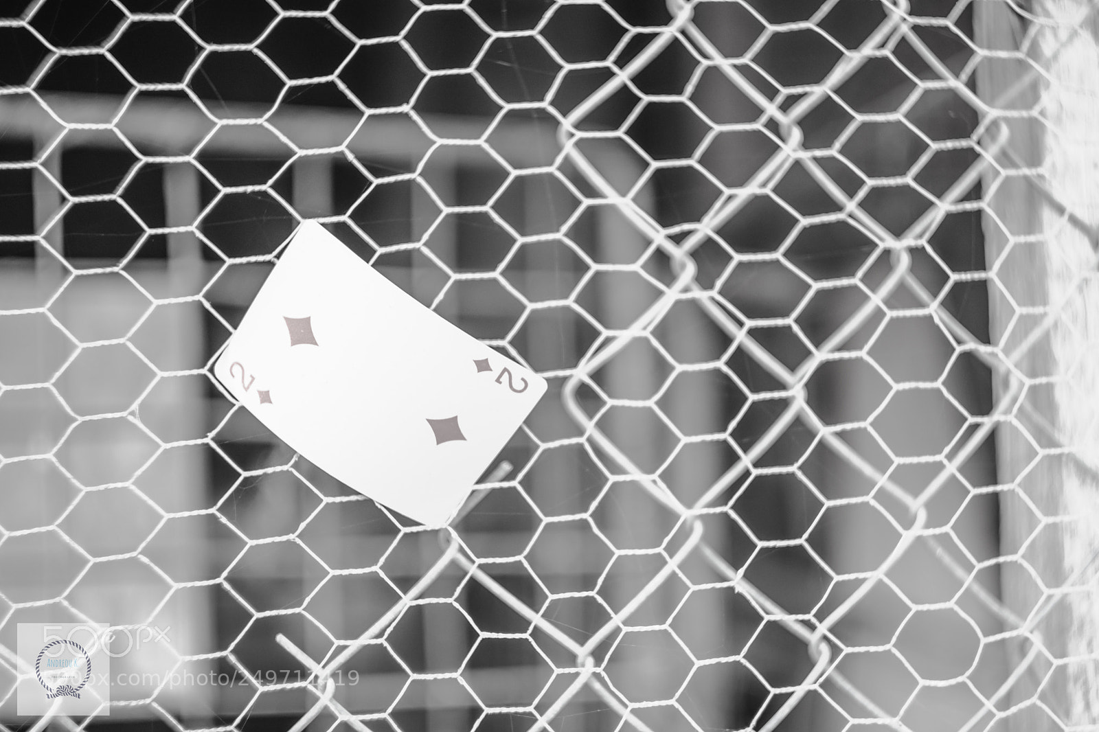 Nikon D7200 sample photo. 2 of diamonds photography