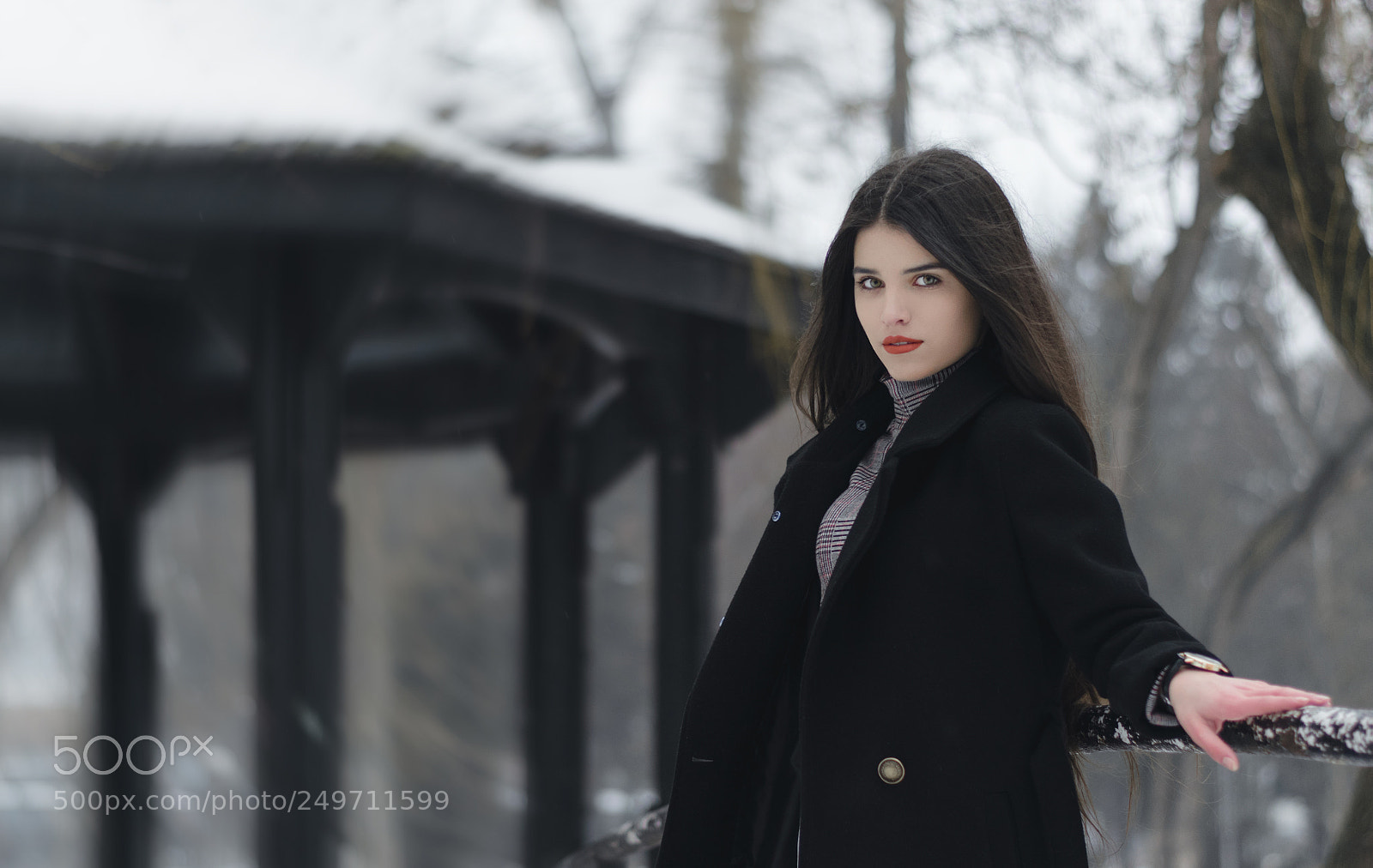 Nikon D3300 sample photo. Elegance on every season photography