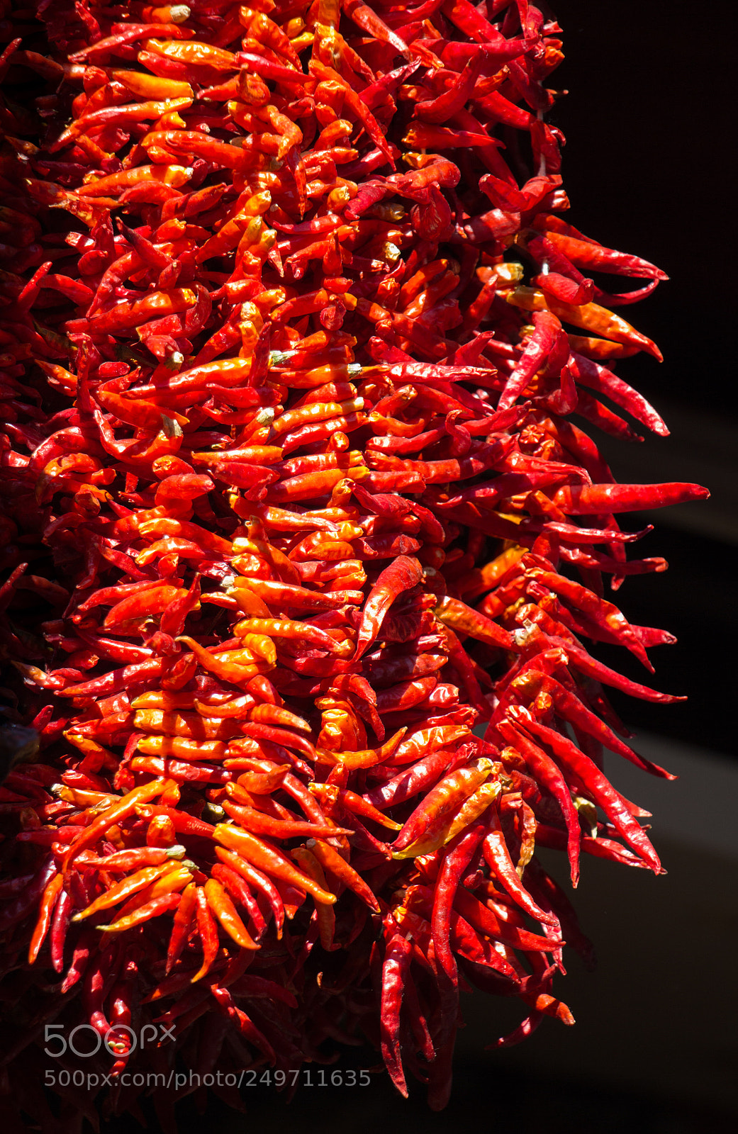 Canon EOS 650D (EOS Rebel T4i / EOS Kiss X6i) sample photo. Bundles of red peppers photography