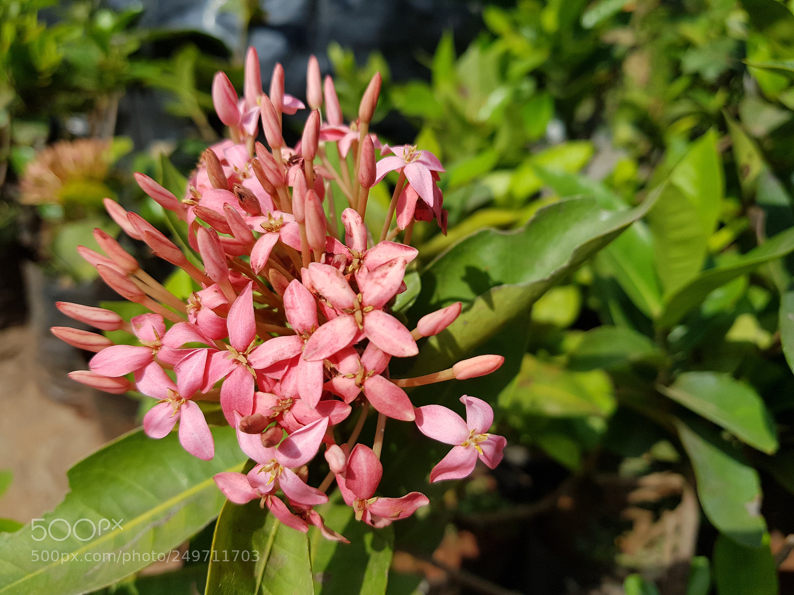 Samsung Galaxy S8 sample photo. Untitled photography