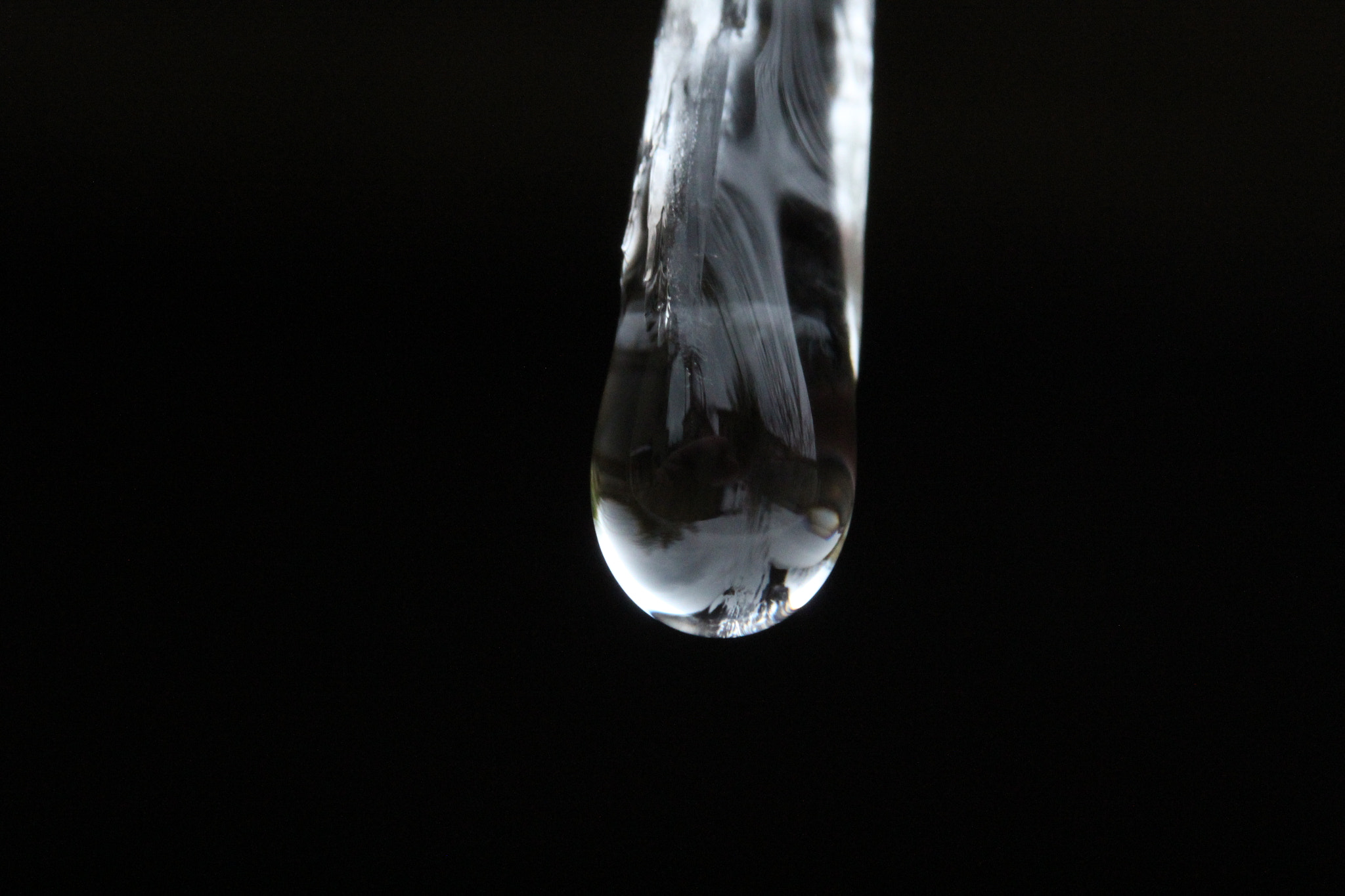 Canon EF-S 60mm F2.8 Macro USM sample photo. Img photography