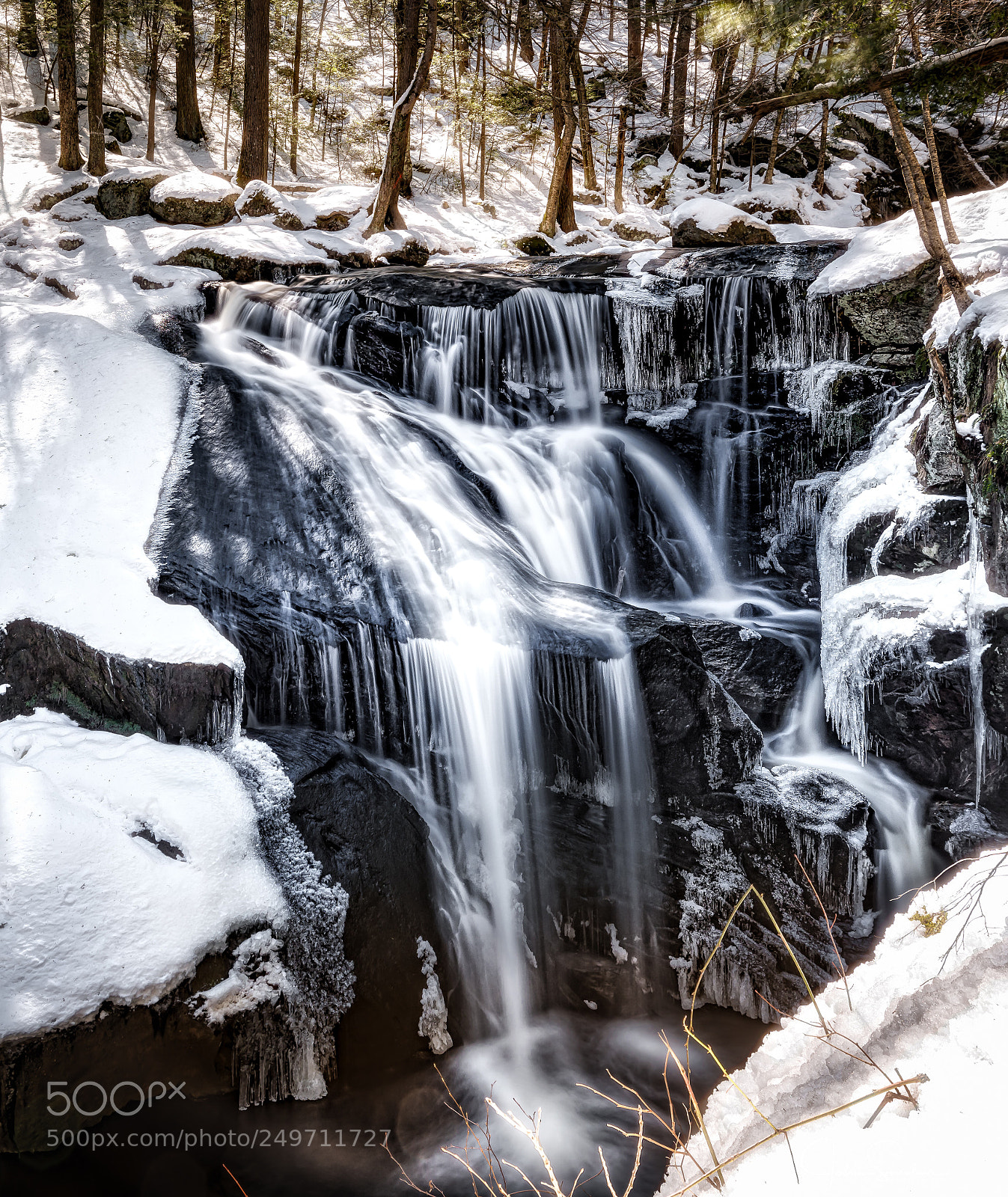 Nikon D810 sample photo. Untitled photography