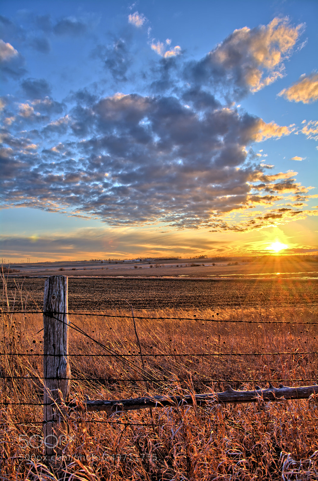 Nikon D7100 sample photo. Sunset fenceline 2 photography