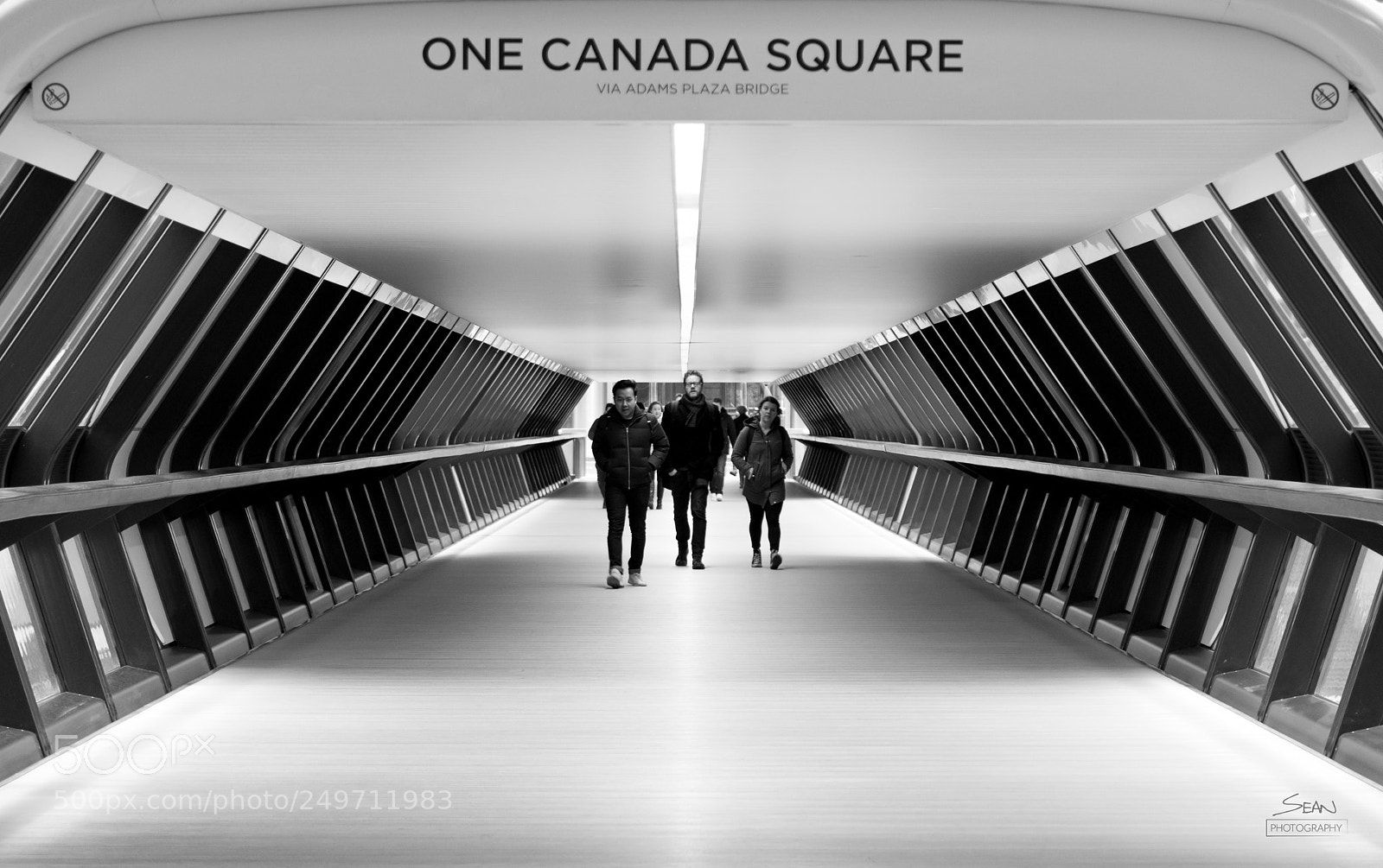 Nikon D3300 sample photo. Futuristic monochromatic photography