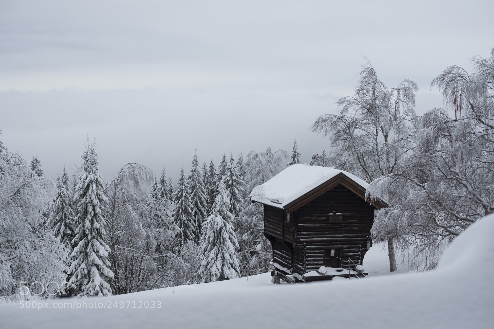 Fujifilm X-T2 sample photo. Markus nedrelid photography
