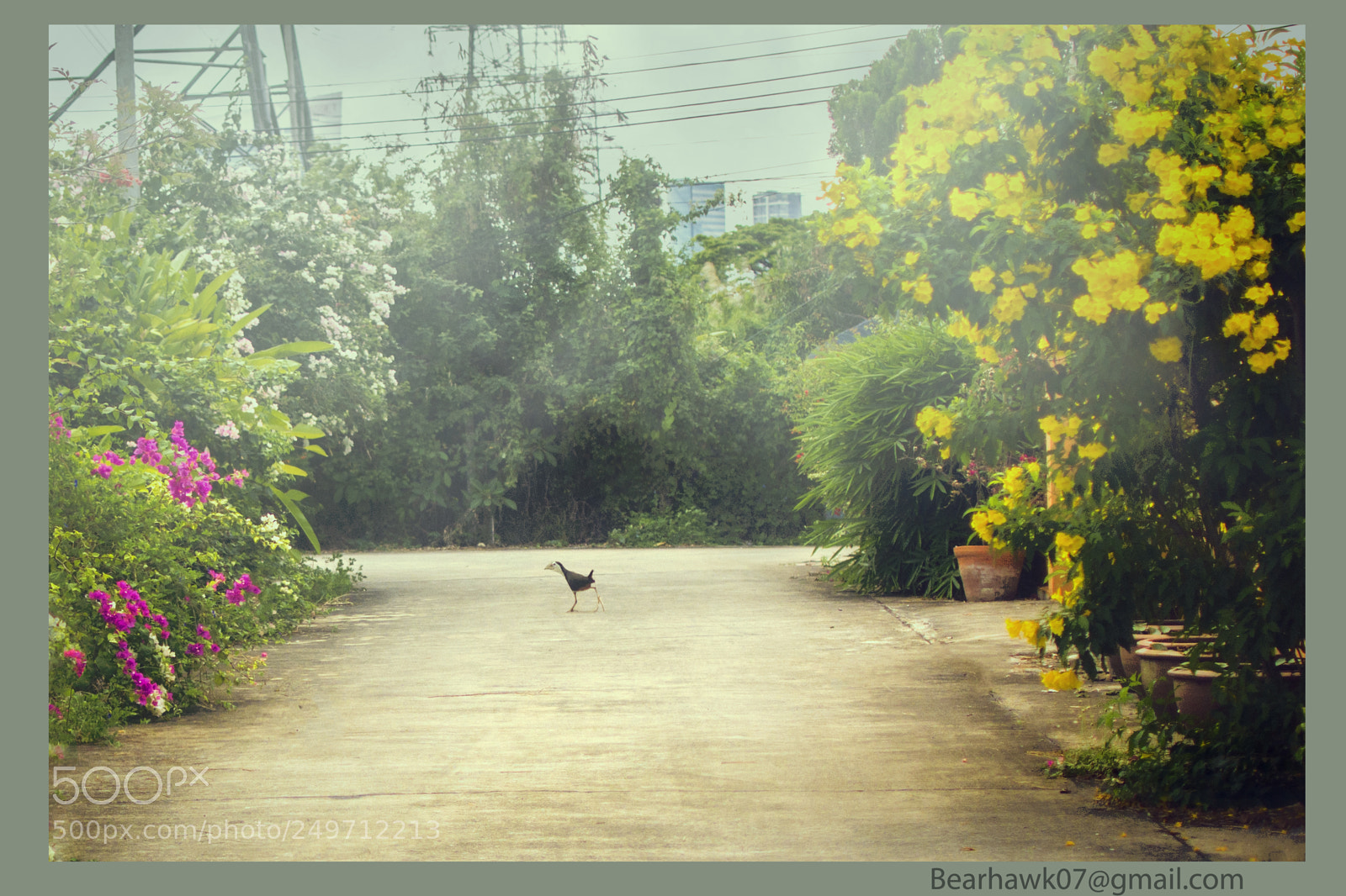 Nikon D7200 sample photo. Copy photography