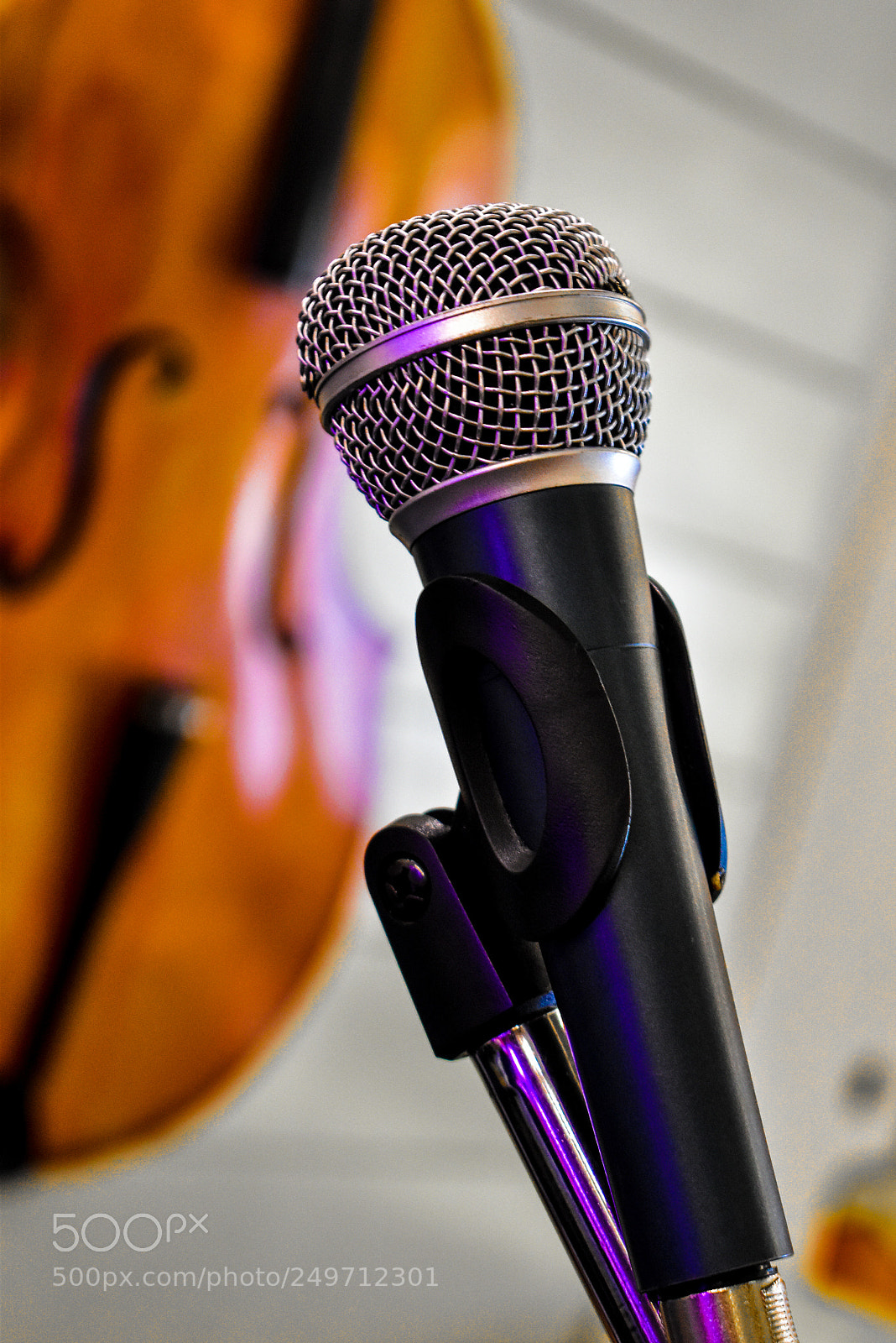 Nikon D5600 sample photo. Mic photography