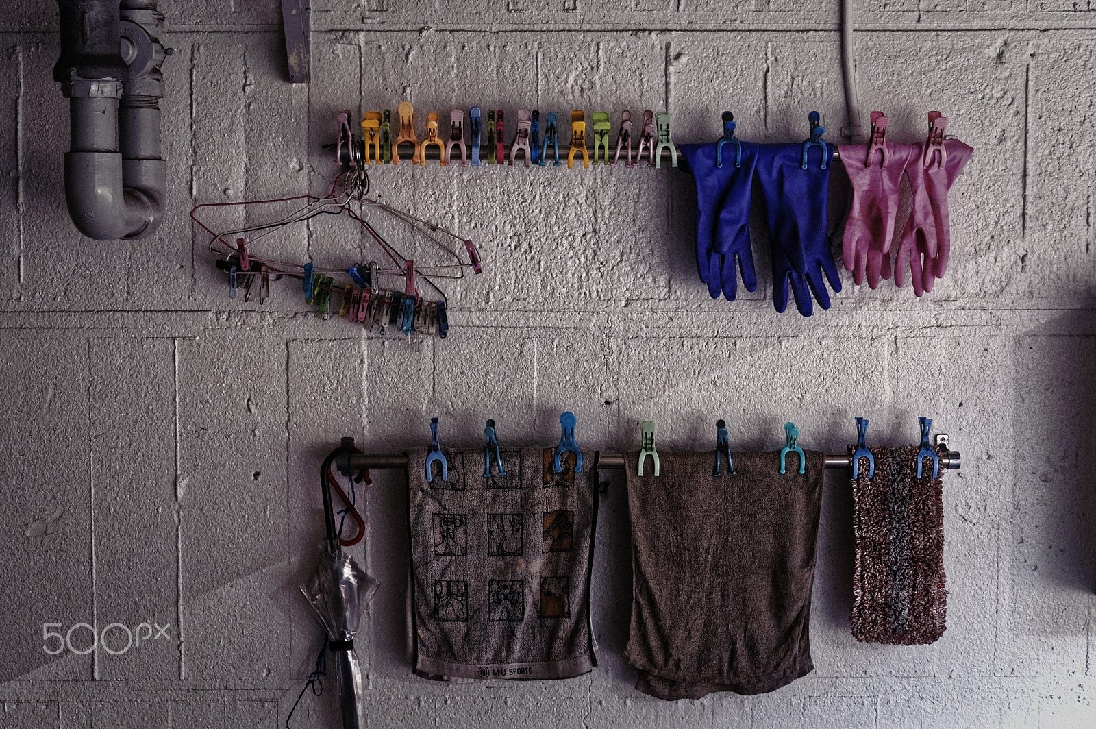 Pentax K-3 II sample photo