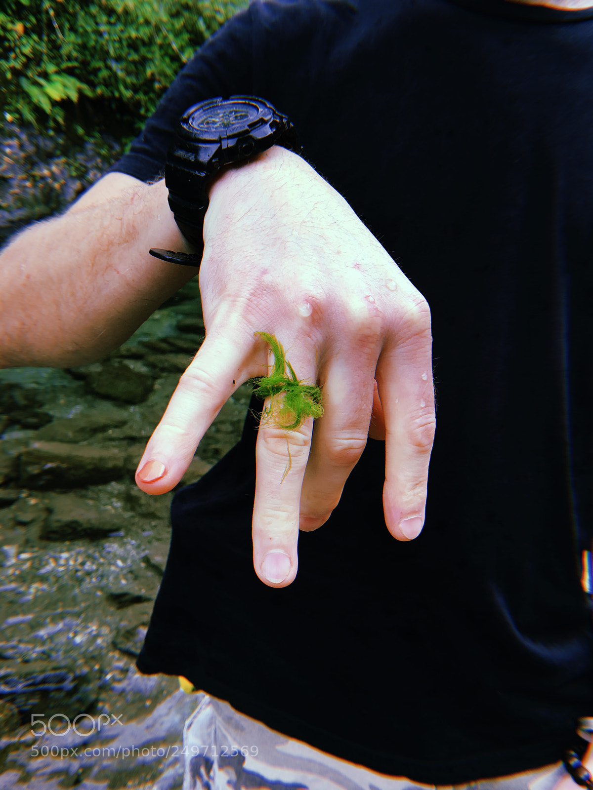 Apple iPhone sample photo. Algae ring photography