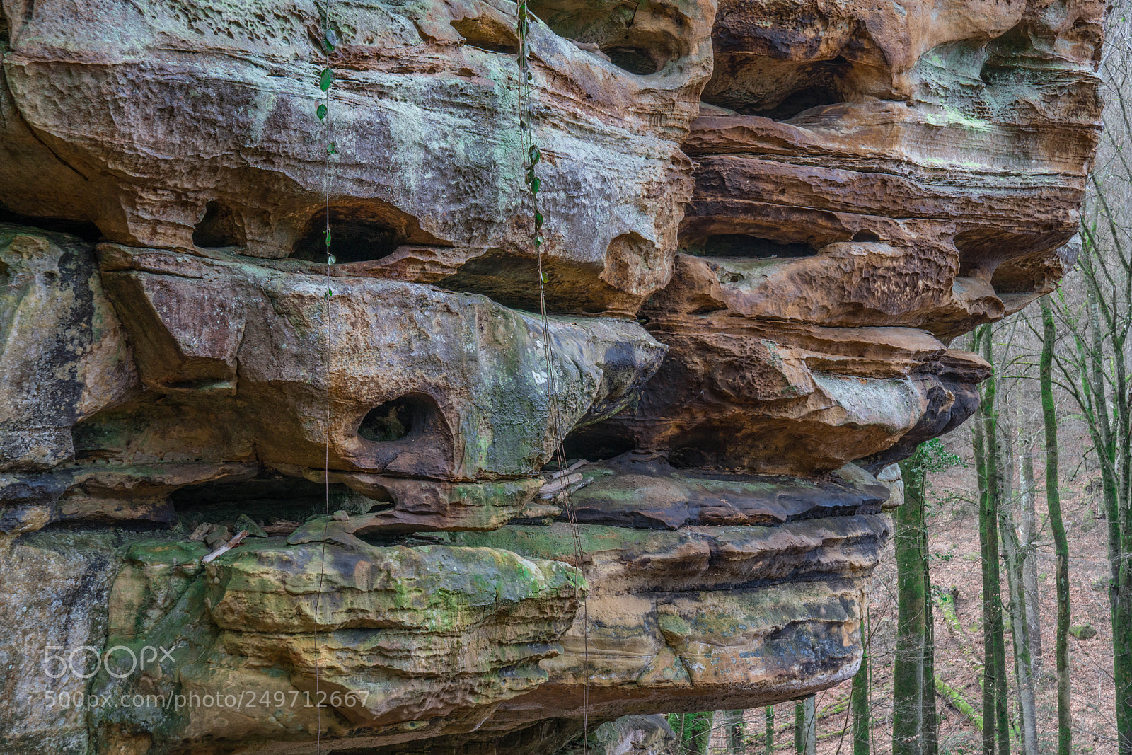 Sony a7R II sample photo. Week 12 - colourful mullerthal photography