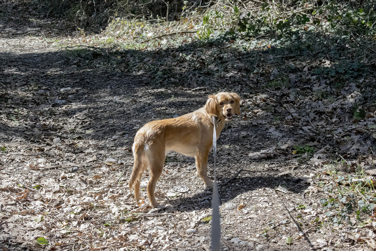 Nikon D3300 sample photo. Zaxoli photography