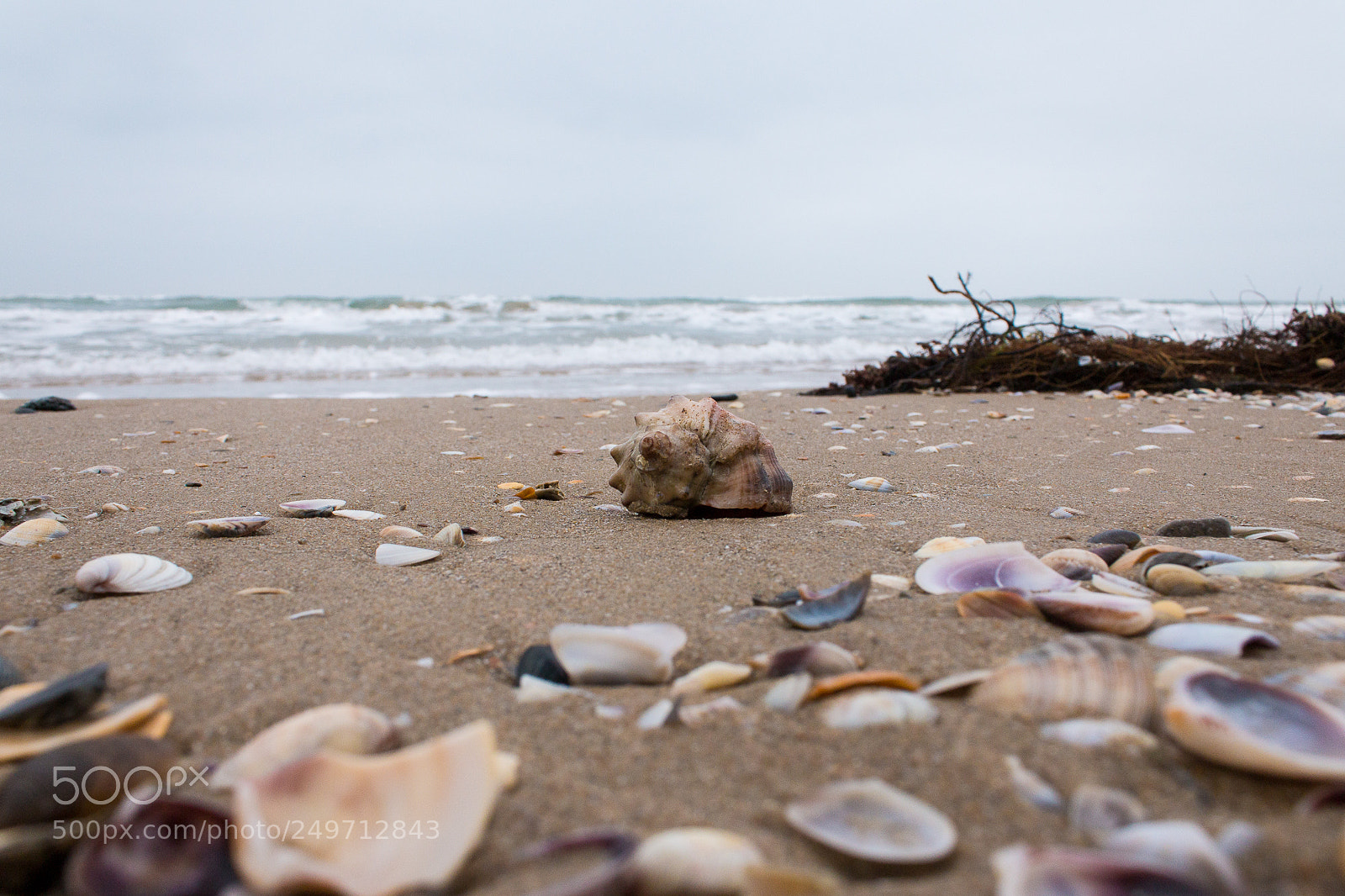 Canon EOS 70D sample photo. Anapa, sand dune dzhemete photography