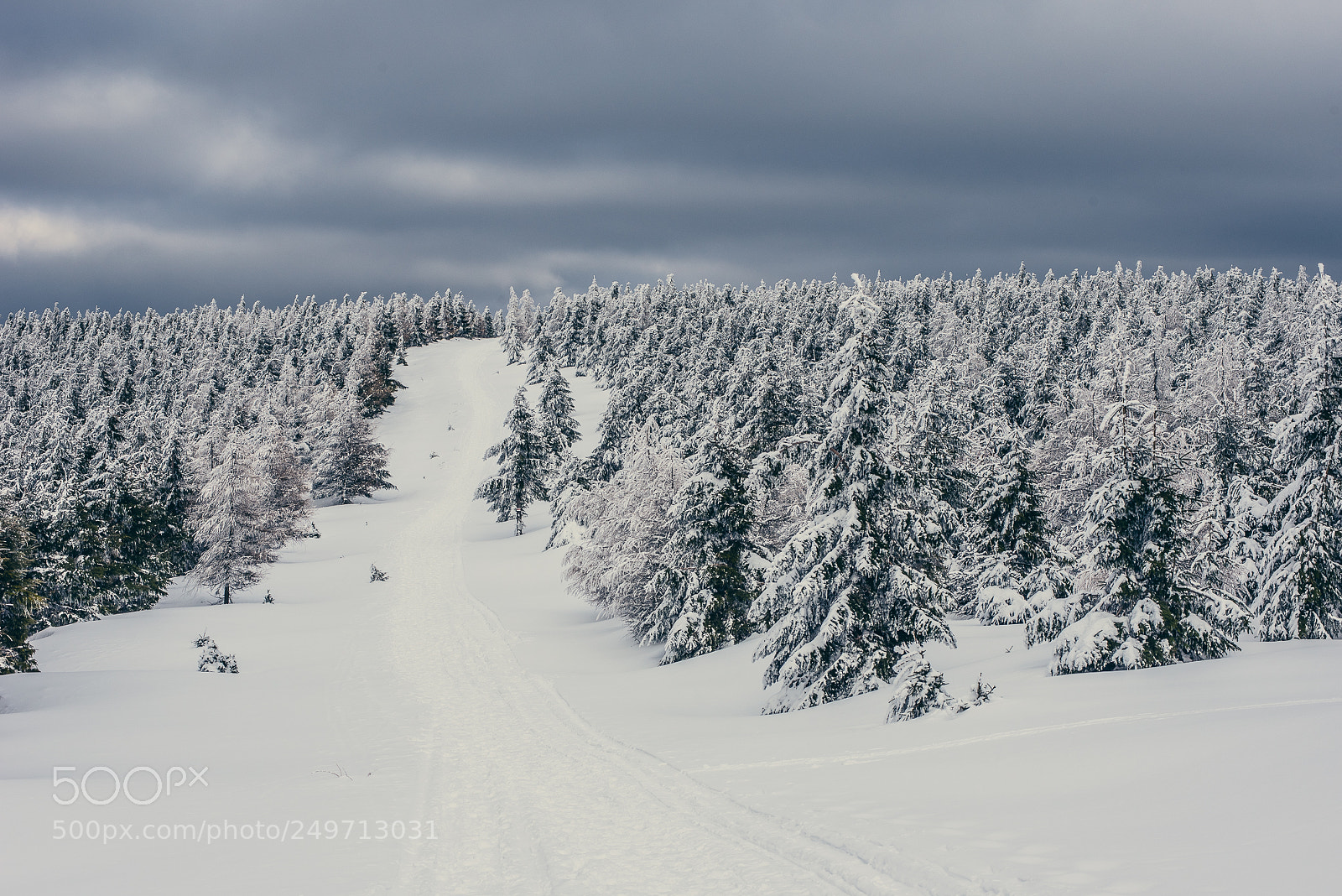 Nikon D750 sample photo. "stanisław" and around photography