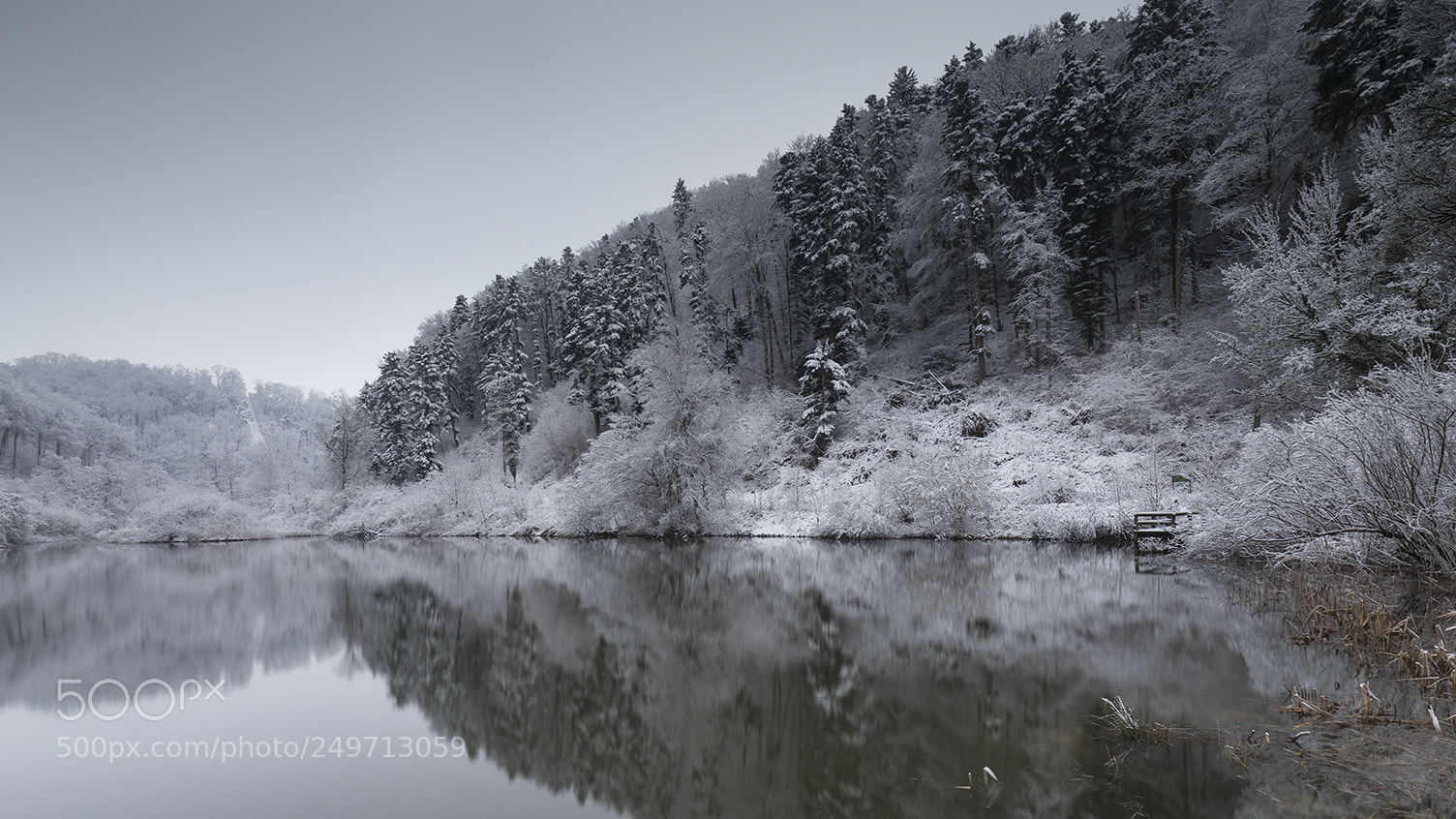 Canon EOS 5D Mark IV sample photo. Talweiher anwil photography