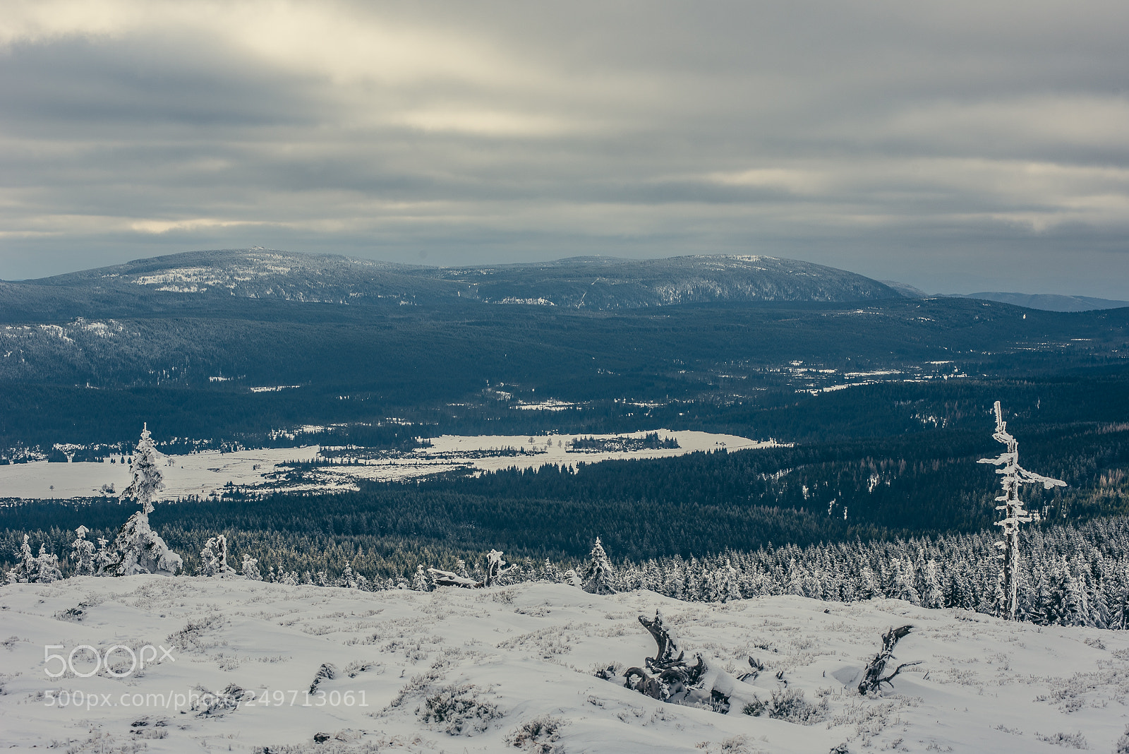 Nikon D750 sample photo. "stanisław" and around photography