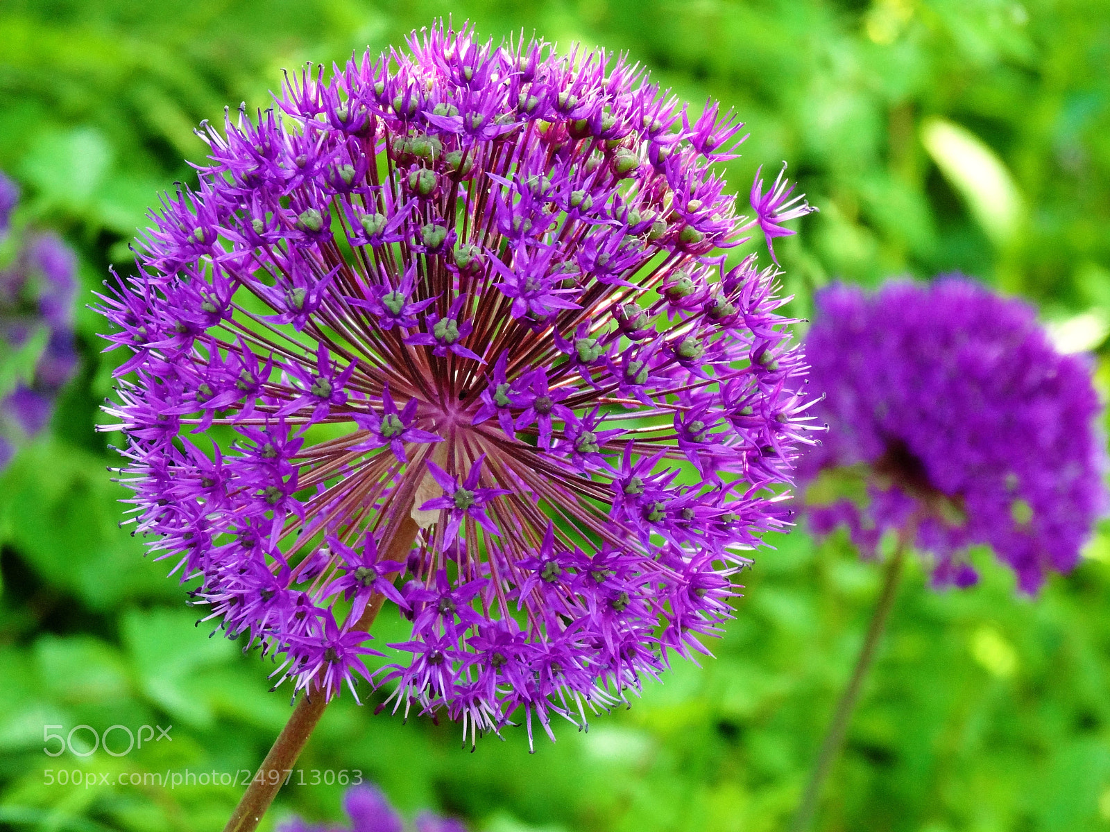 Sony Cyber-shot DSC-HX20V sample photo. Dsc photography