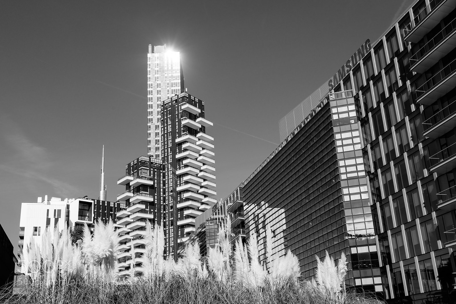 Fujifilm X-T1 sample photo. Blinded by the light photography