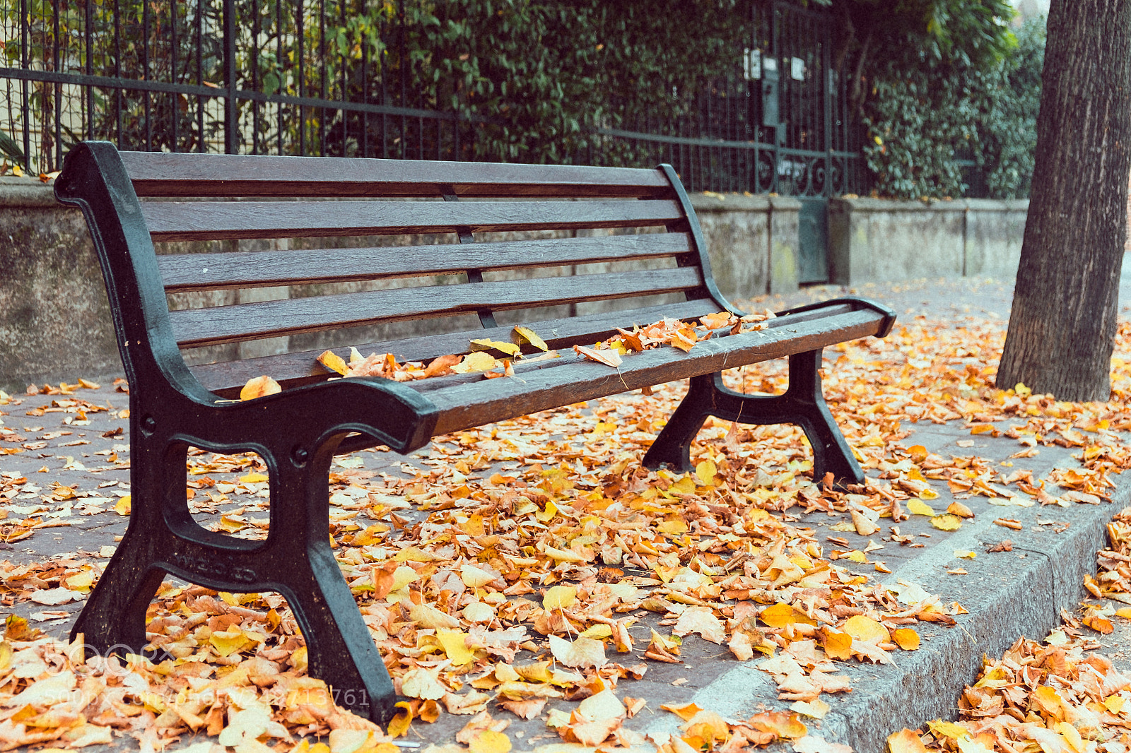 Fujifilm X-T1 sample photo. Urban foliage photography