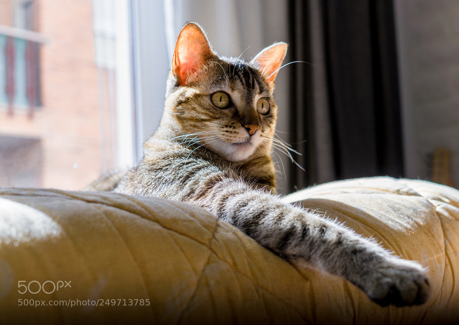 Sony a6000 sample photo. Nami tomando sol photography