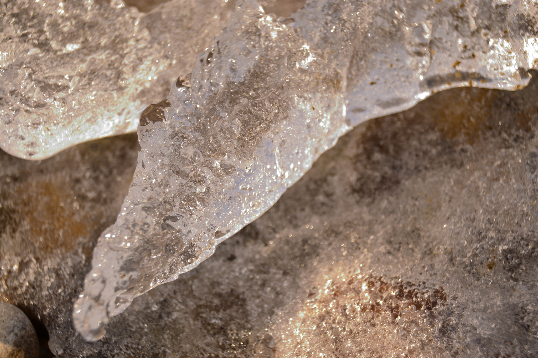 Sigma 18-250mm F3.5-6.3 DC Macro OS HSM sample photo. Ice dargon photography