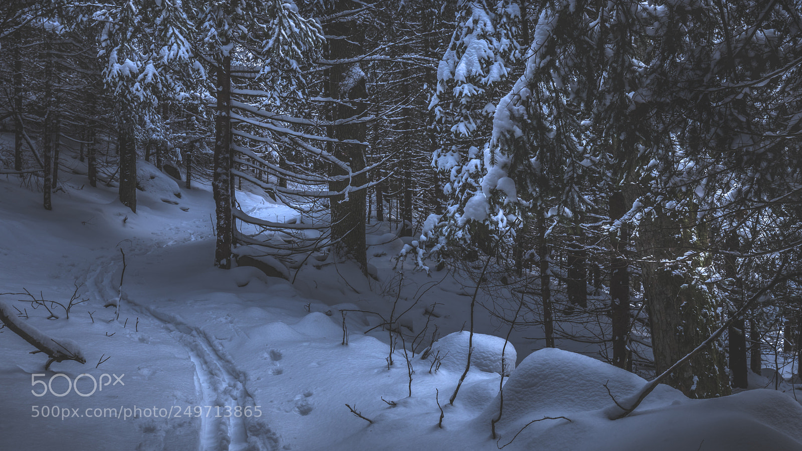 Canon EOS 80D sample photo. Winter country photography