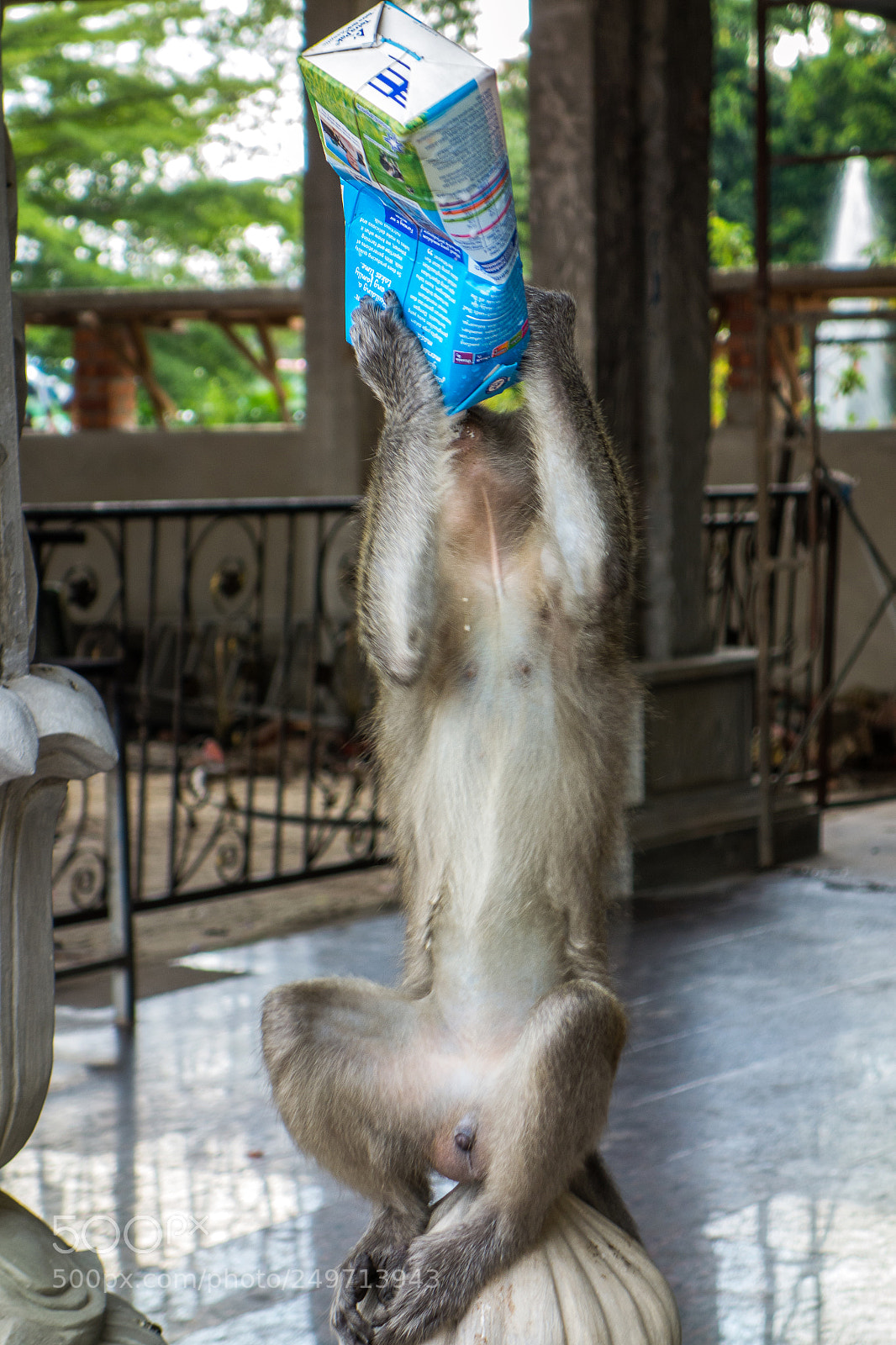 Sony Cyber-shot DSC-RX100 sample photo. Kls photography