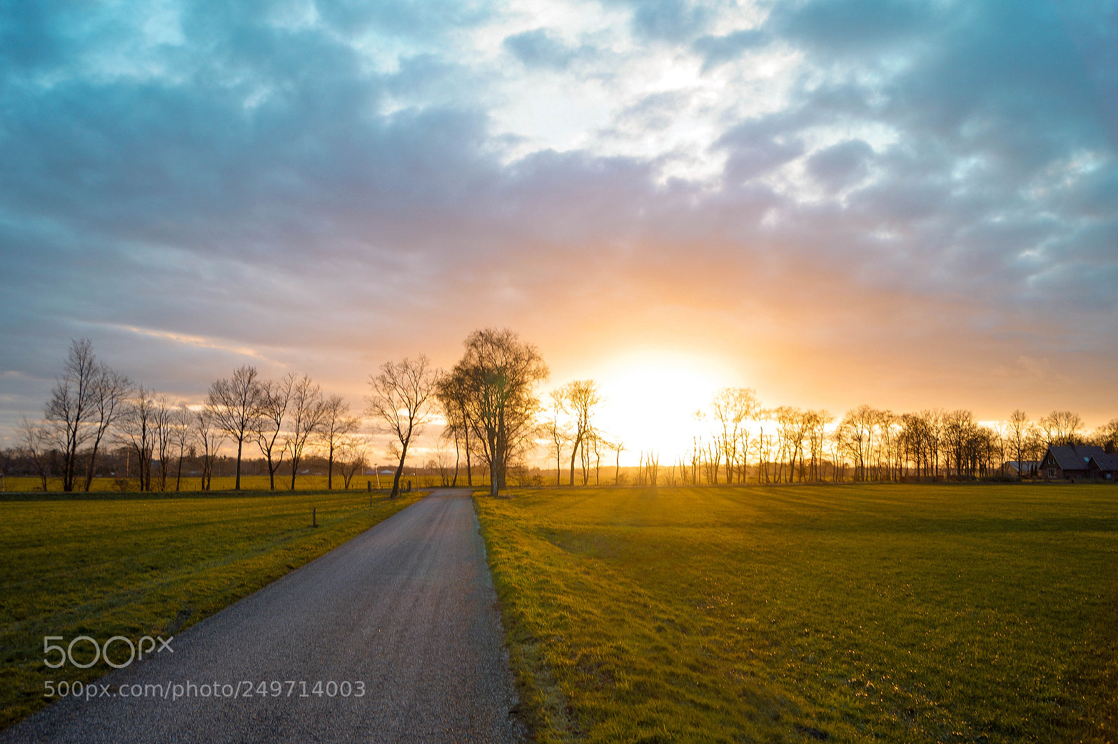 Sony SLT-A58 sample photo. Sunset in the trees photography