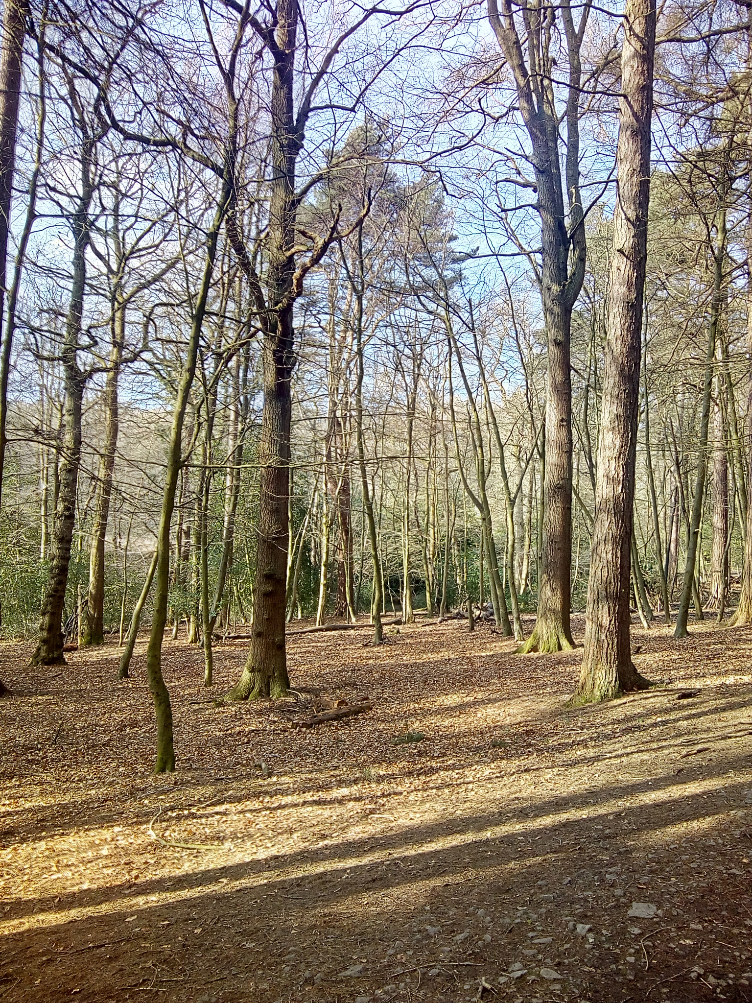 Motorola Moto C Plus sample photo
